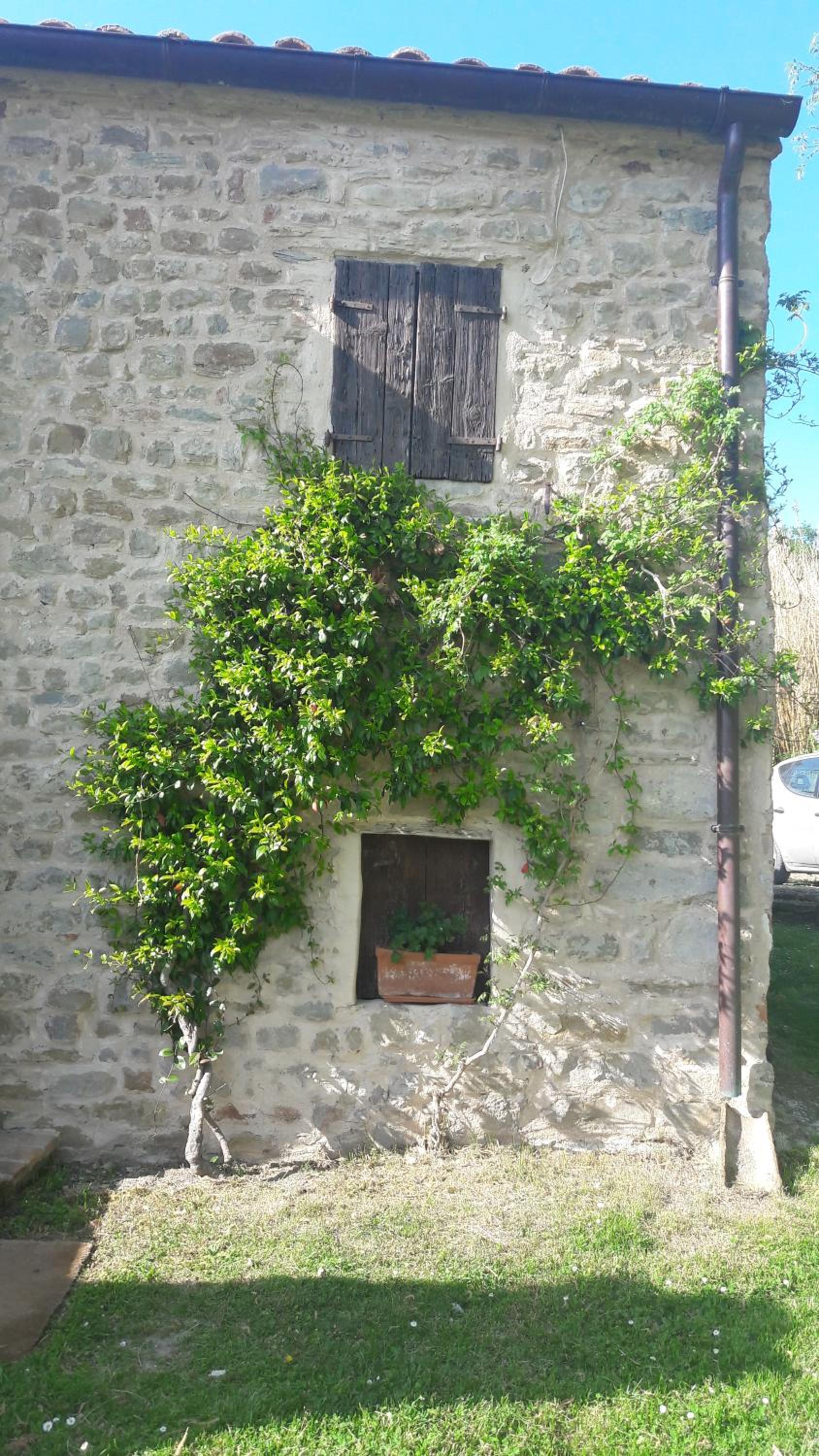 Photo 65