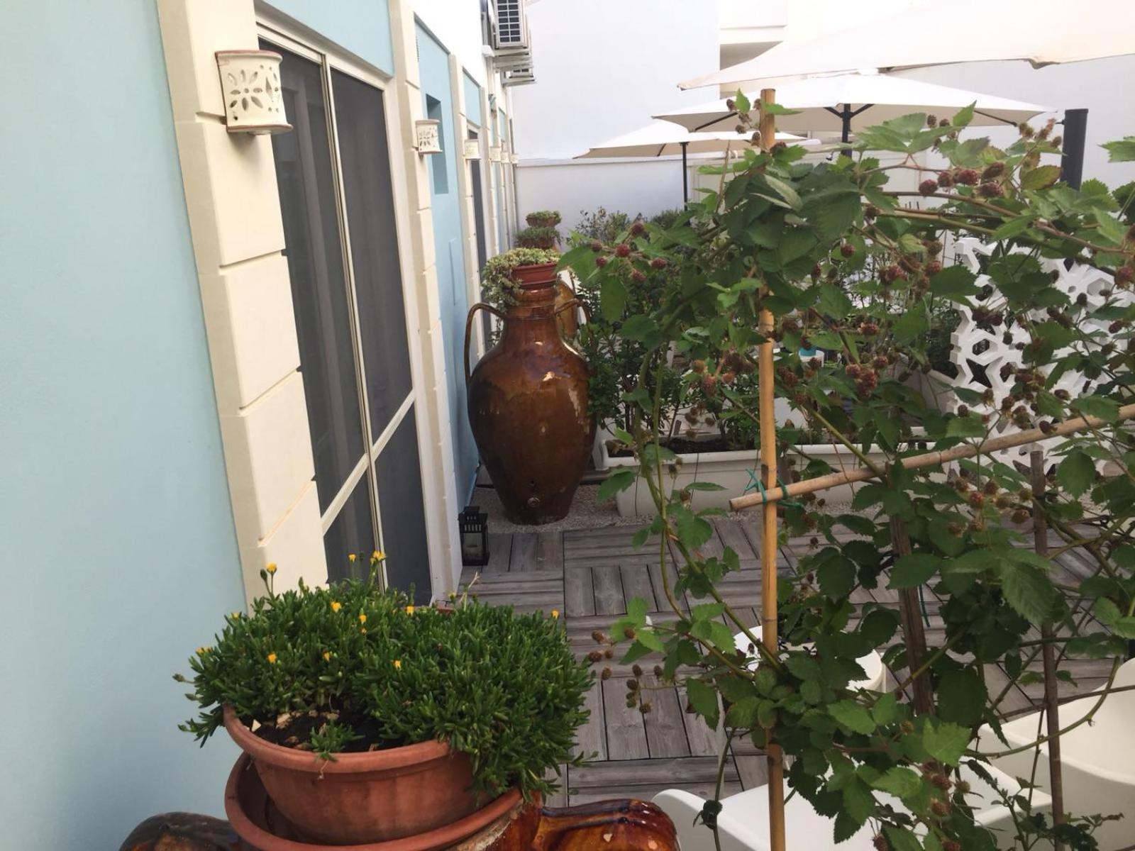 Le Sinfonie Rooms
