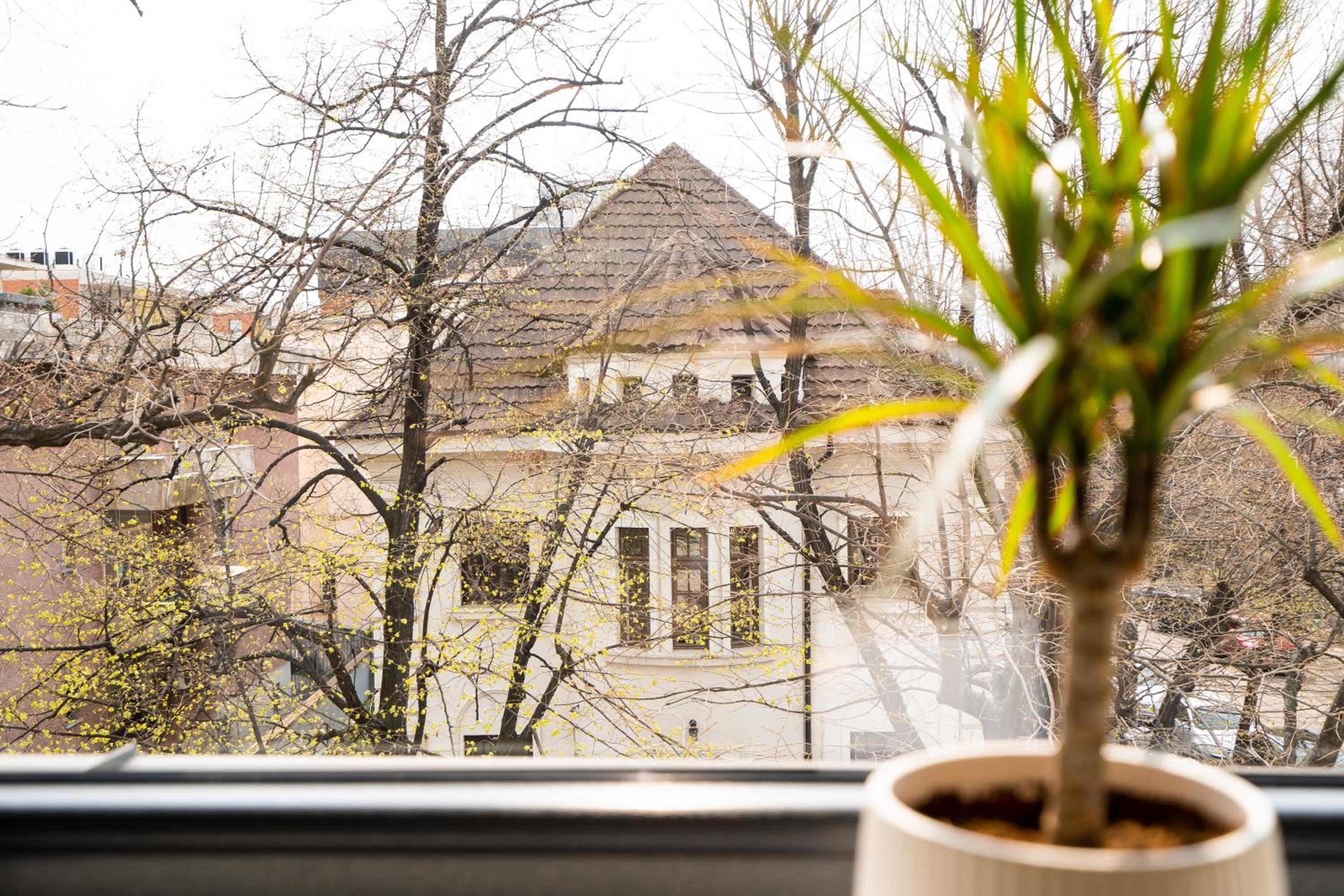 W29 - Cozy Deluxe Studio en Bucharest