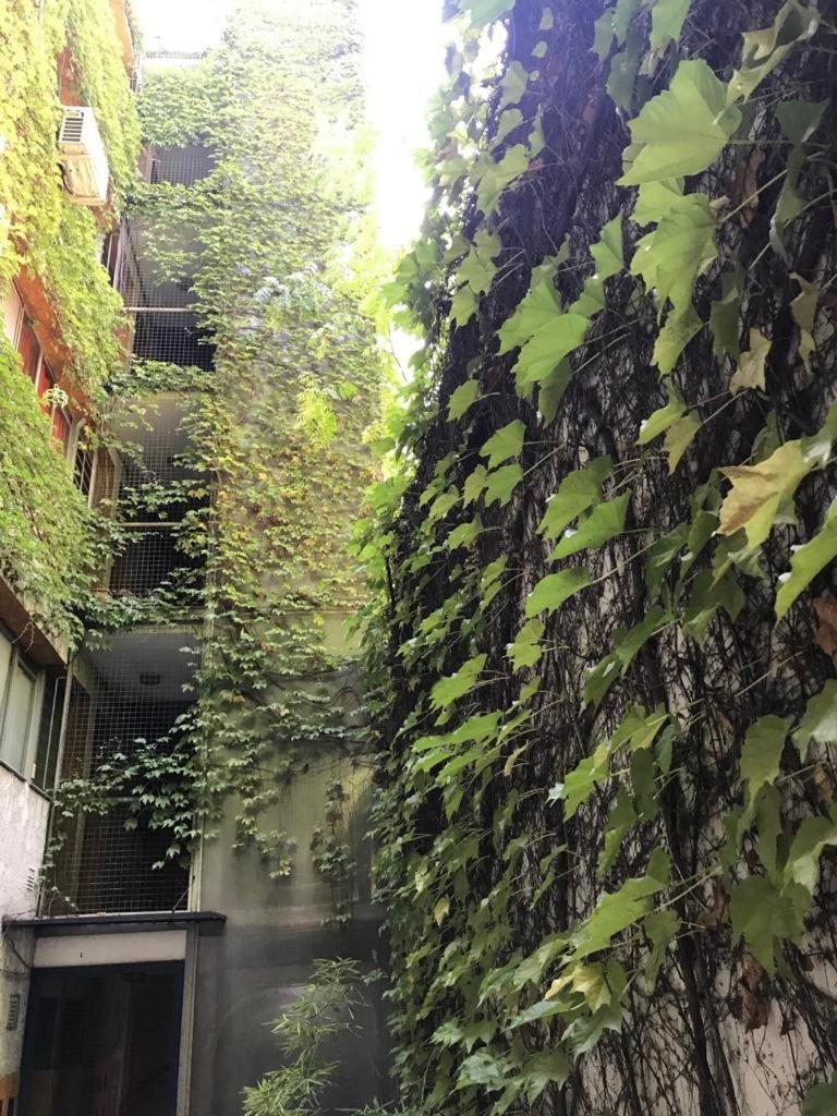Departamento de 2 dormitorios, Excelente ubicación