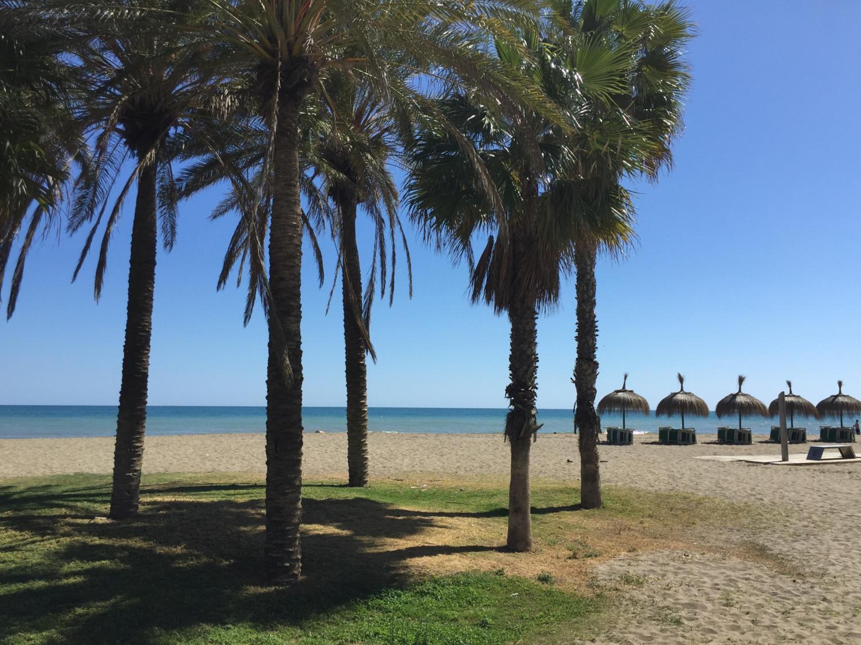 Studio Arts Soho - Malaga