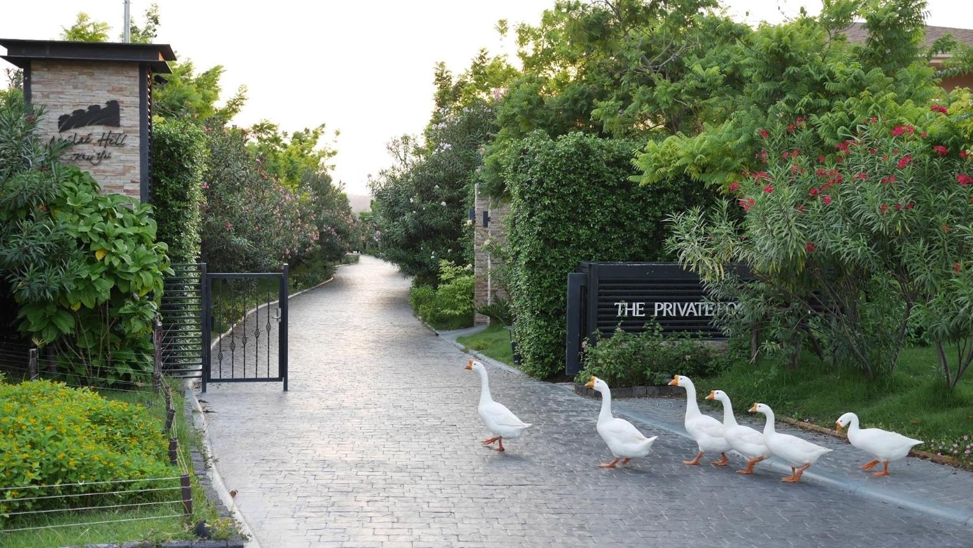The Private Pool Villas at Civilai Hill Khao Yai