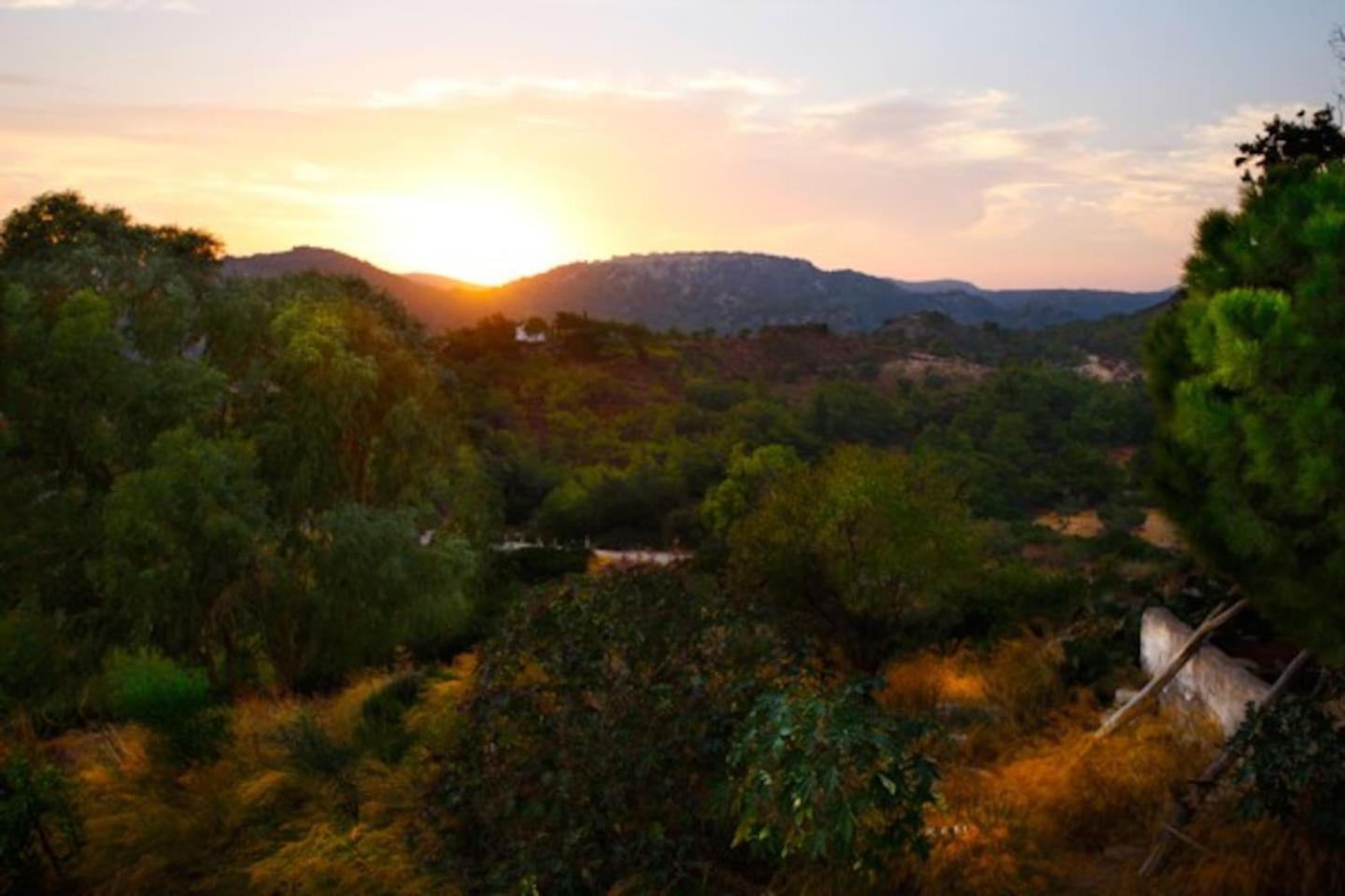 Clive and Bifi's house view 3