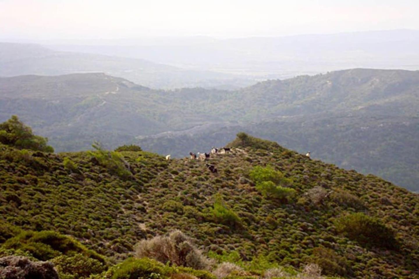 Photo 8