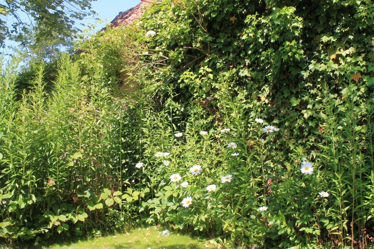 Chambre du Rouard LE RUISSEAU view 2