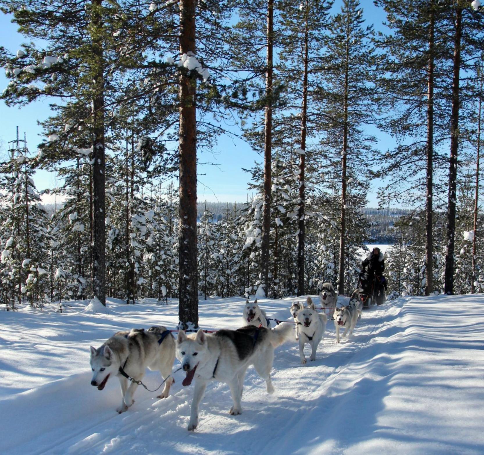 Photo 44