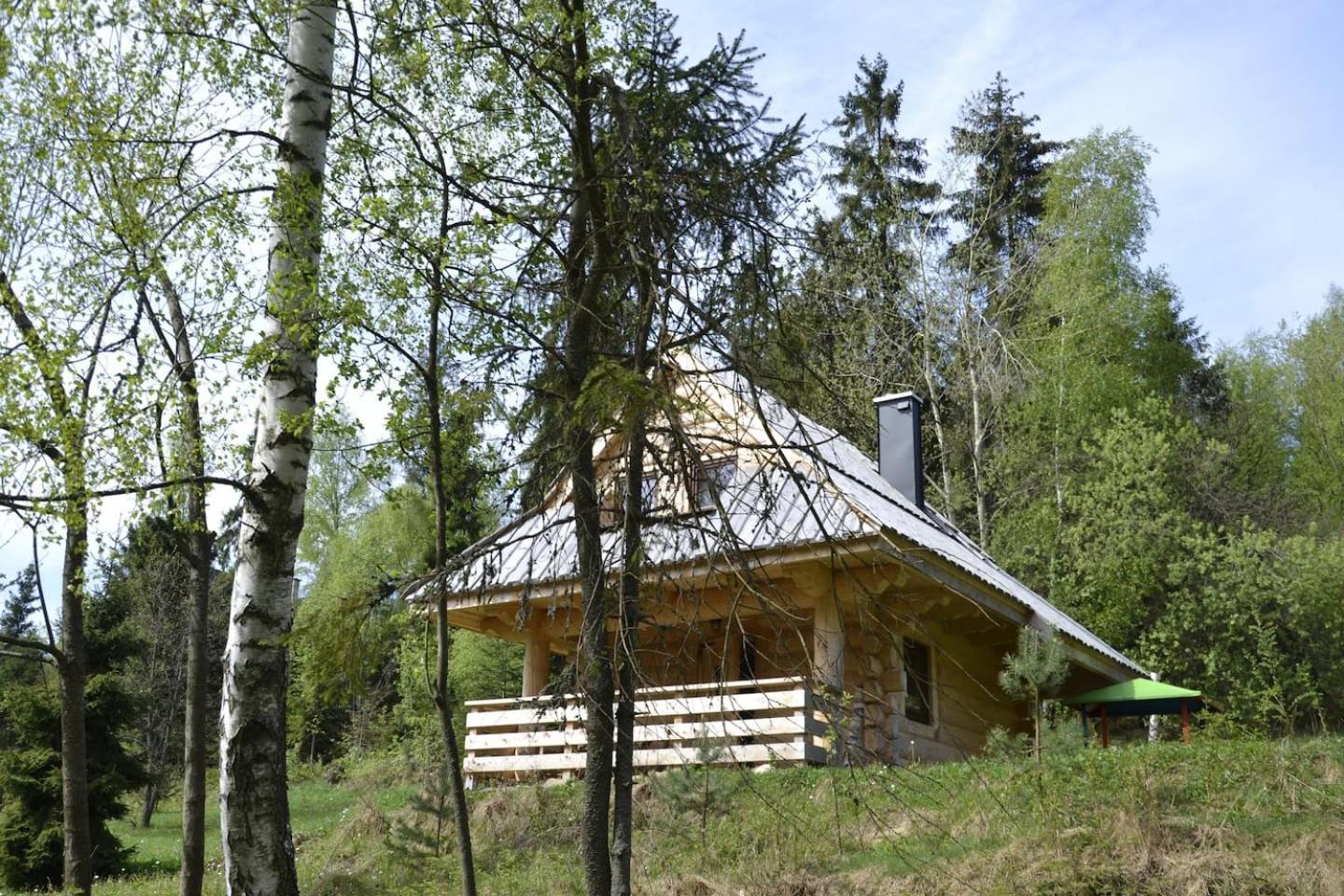 Photo 19