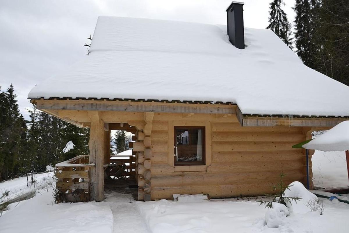 Photo 42