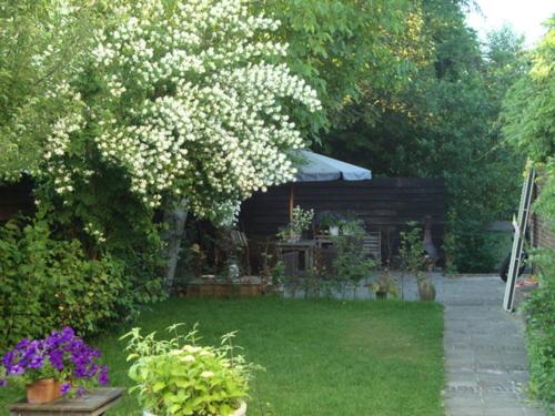 Logement-B&B Safier