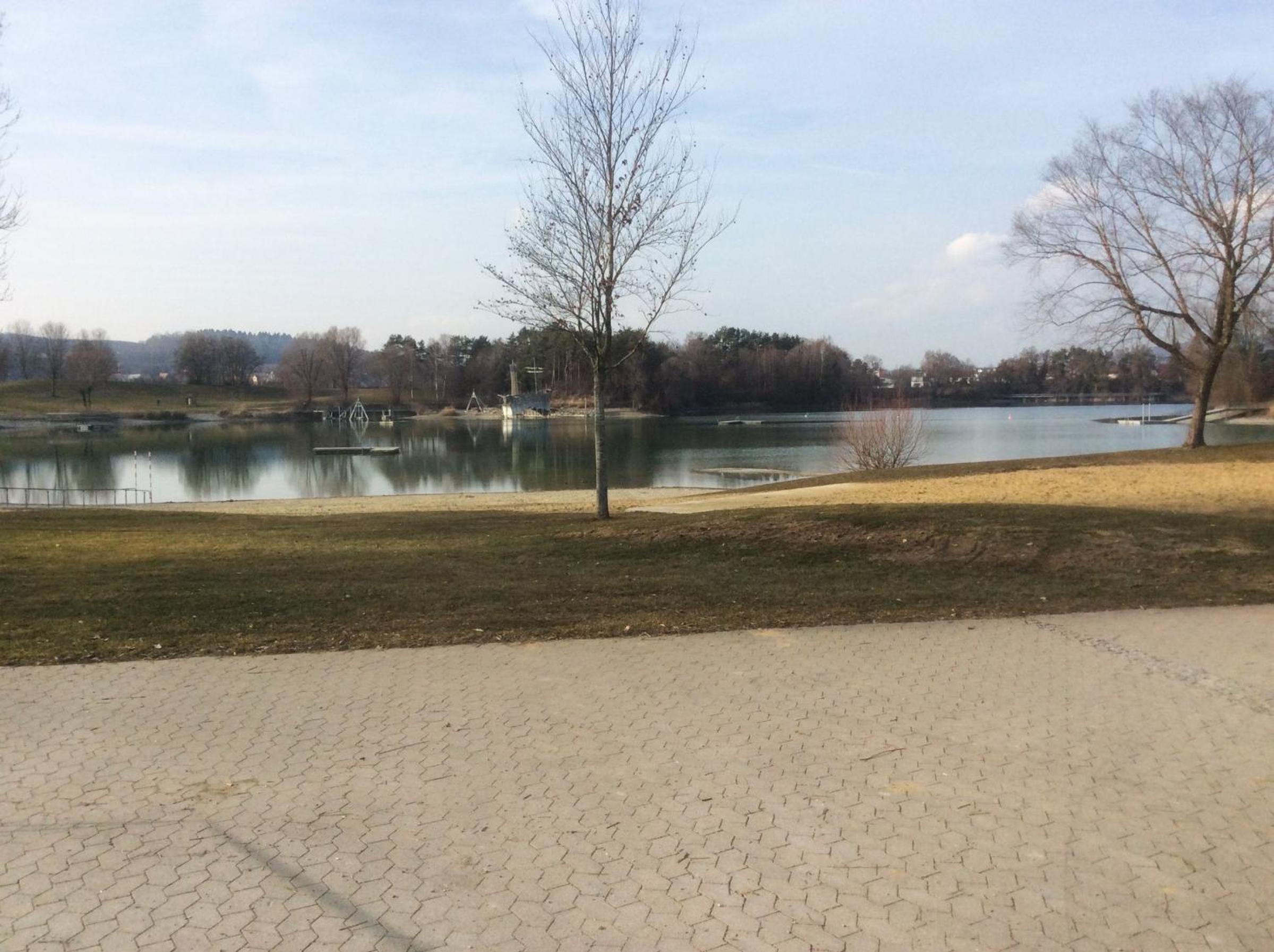 Photo 15