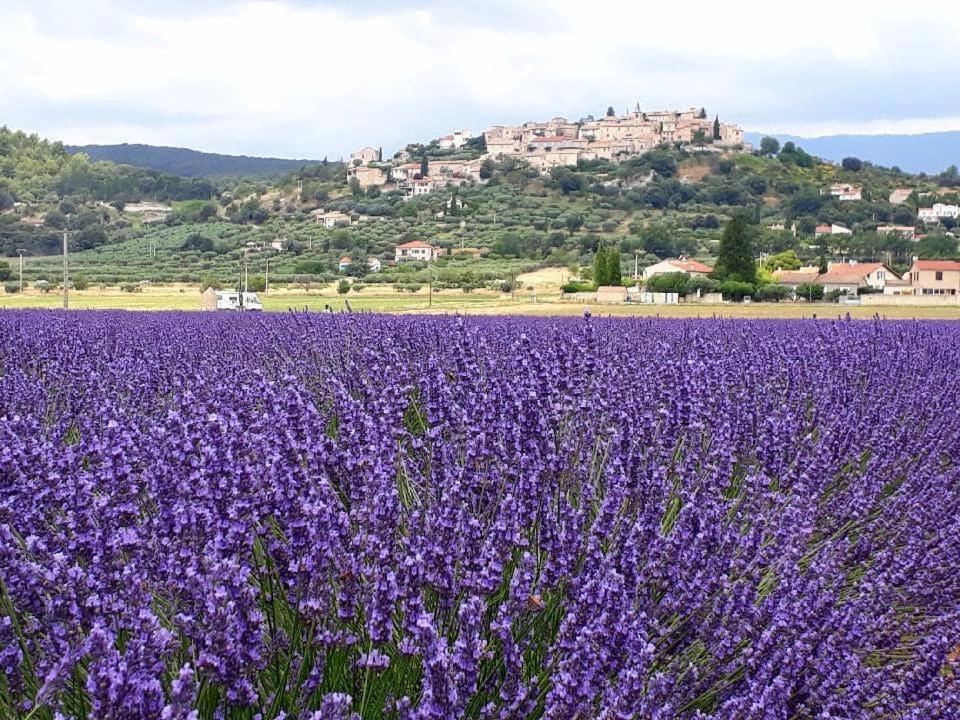 Maison d'hôtes Le Jas Vieux