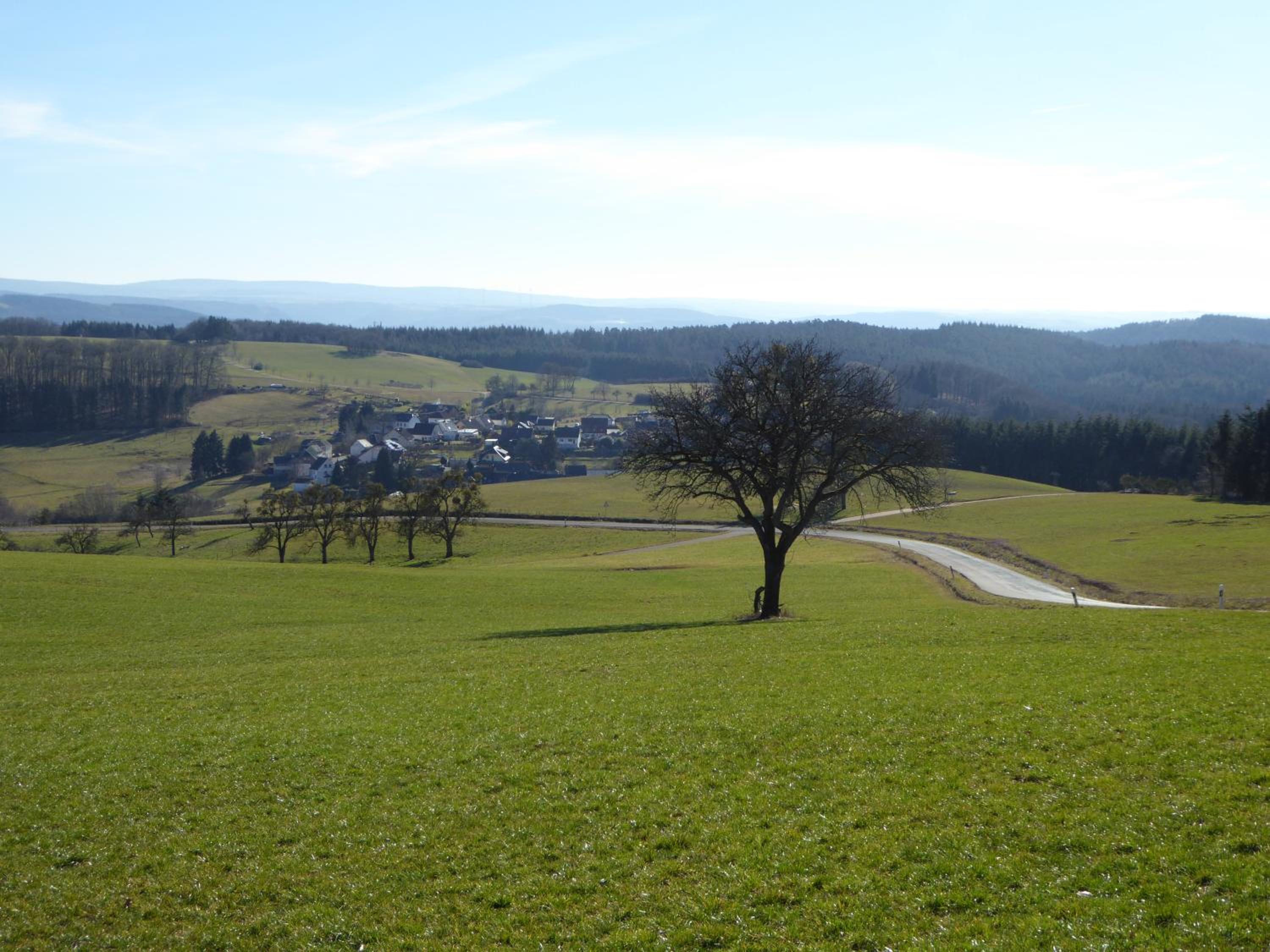 Am Rosenberg