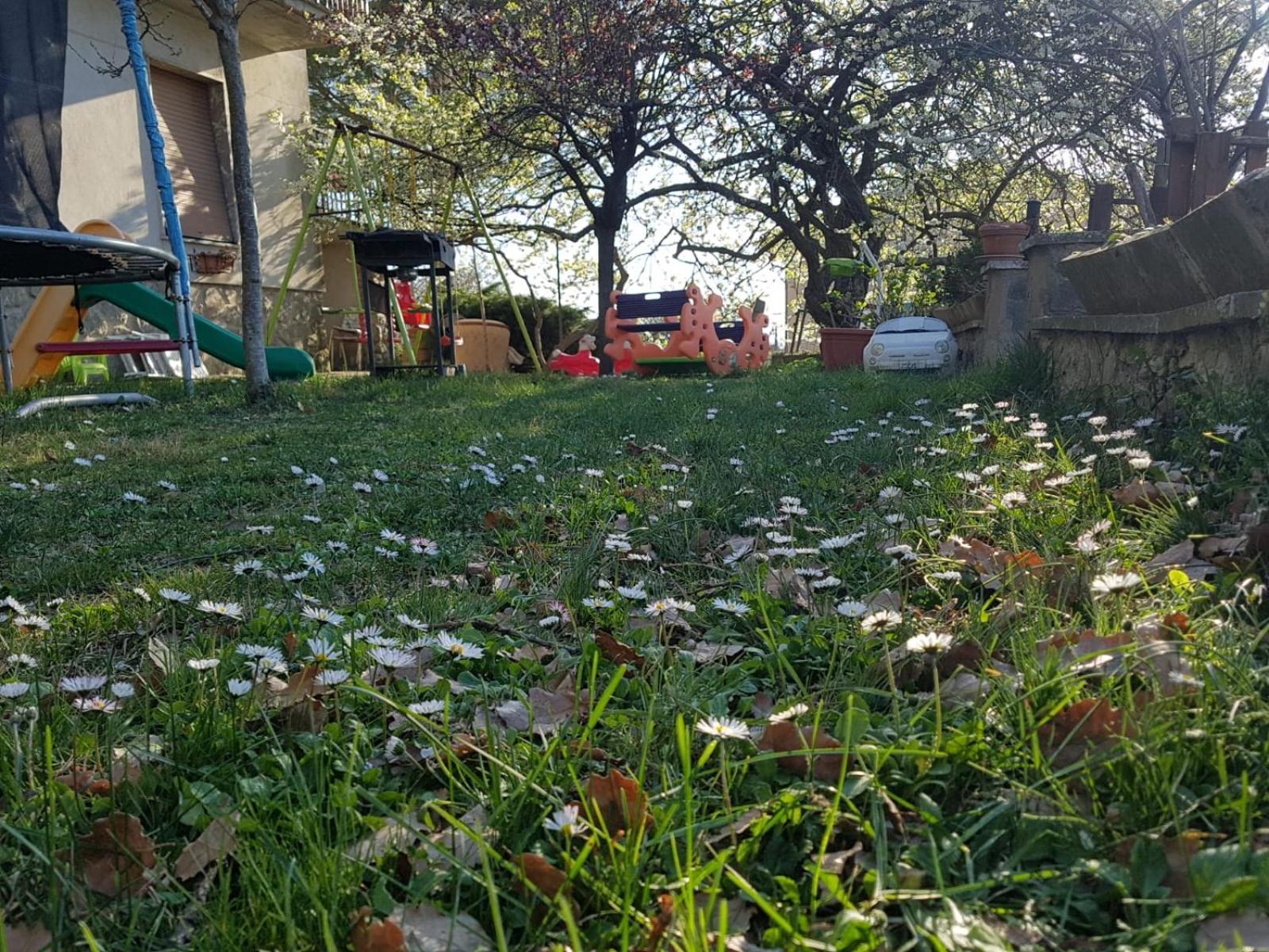 Photo 33