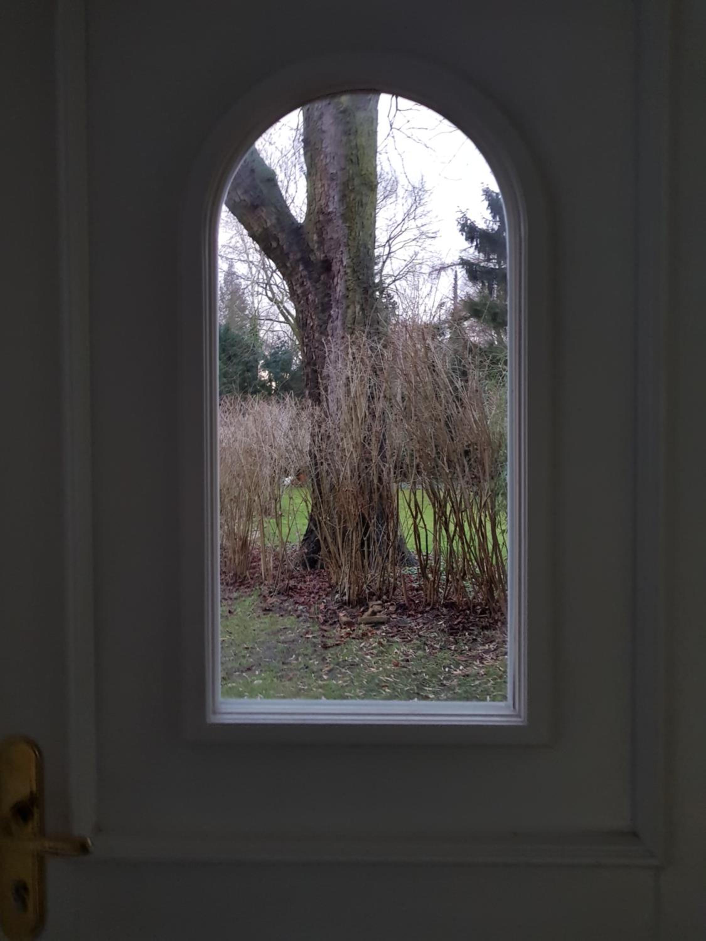 Beautiful House in Zehlendorf