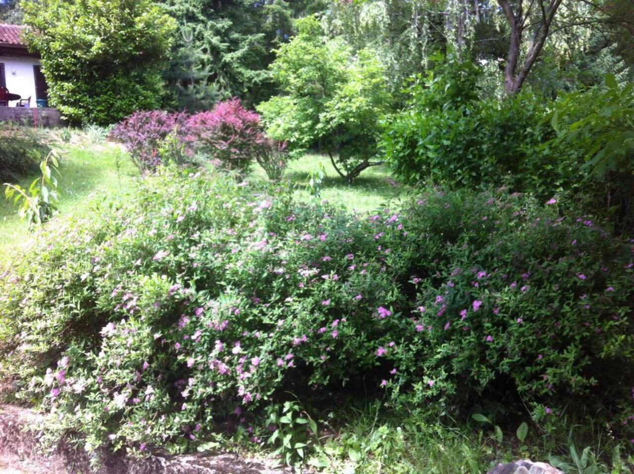 Photo 34