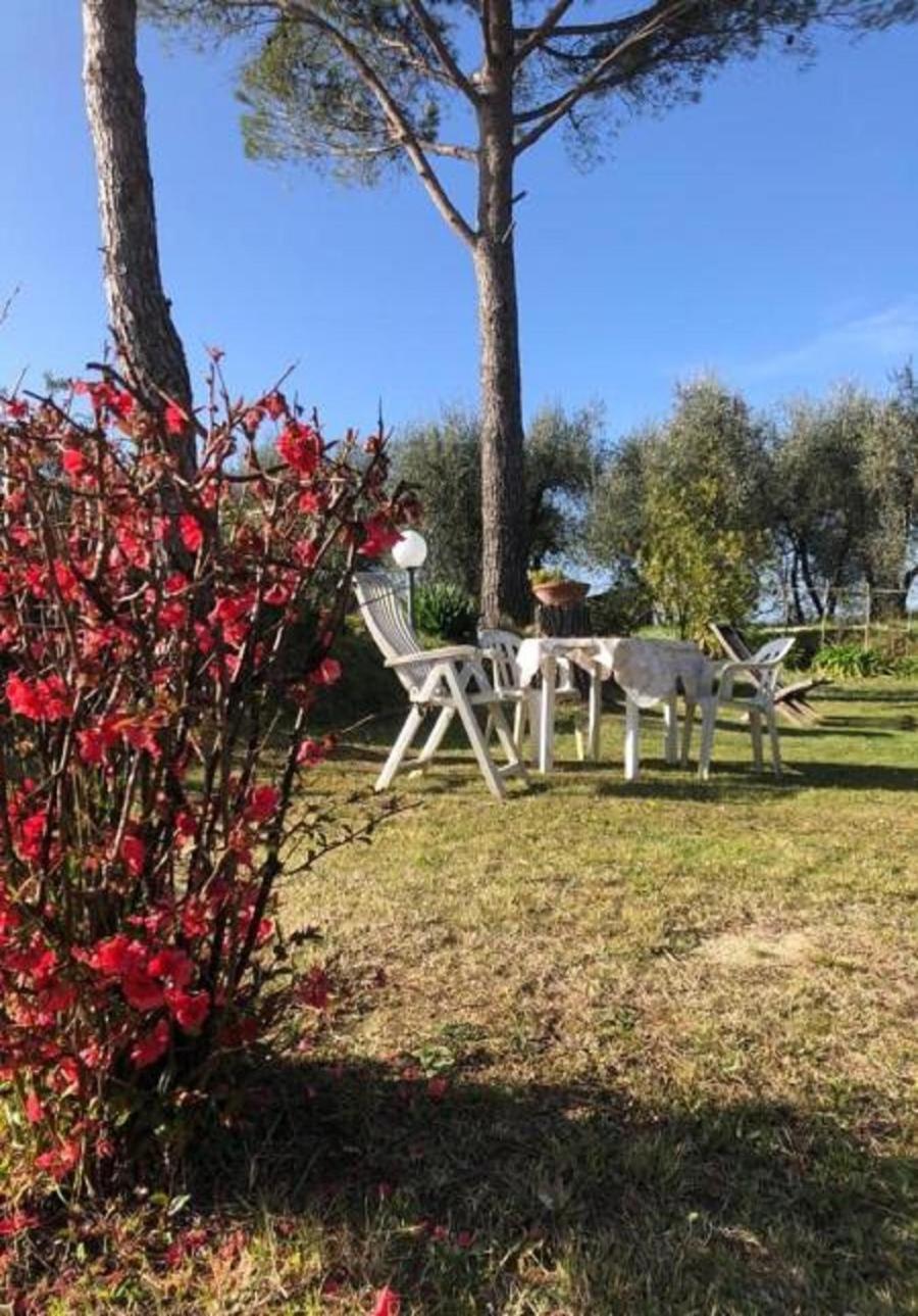 La Chientina view 2