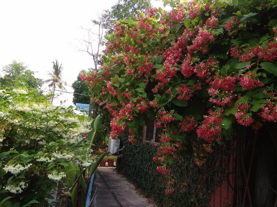 Rim Than View Resort view 5