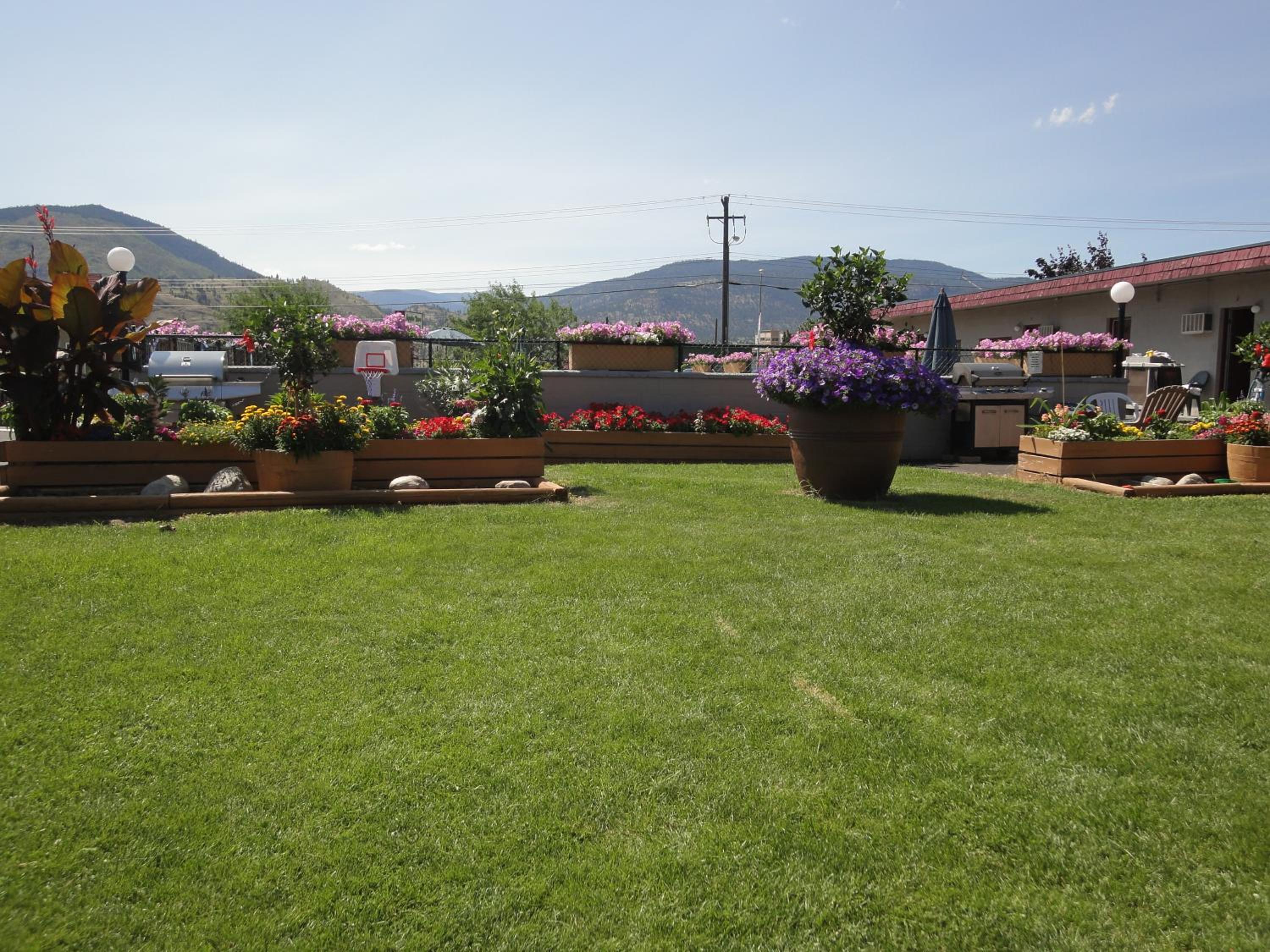 Apple Tree Inn