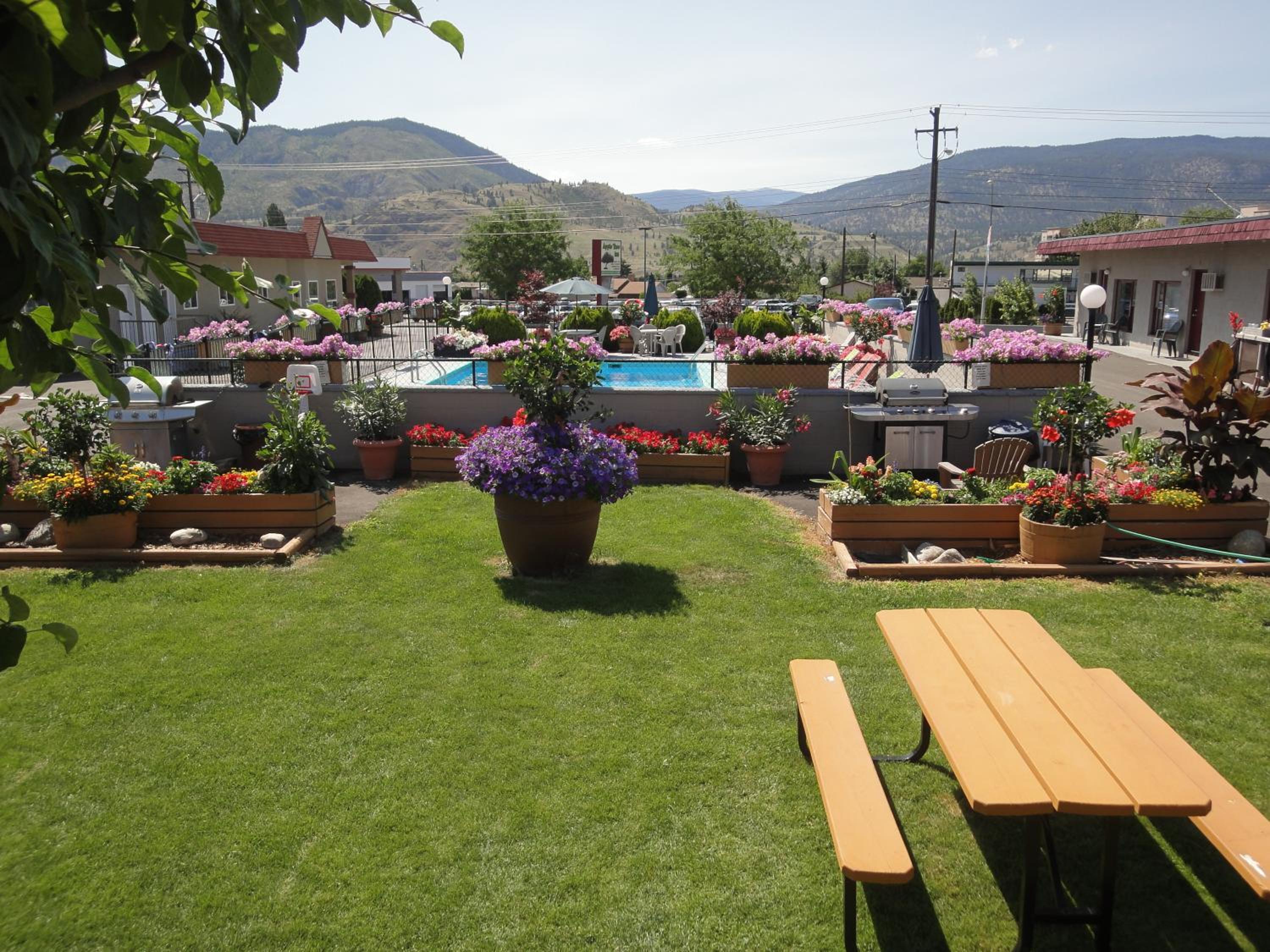 Apple Tree Inn