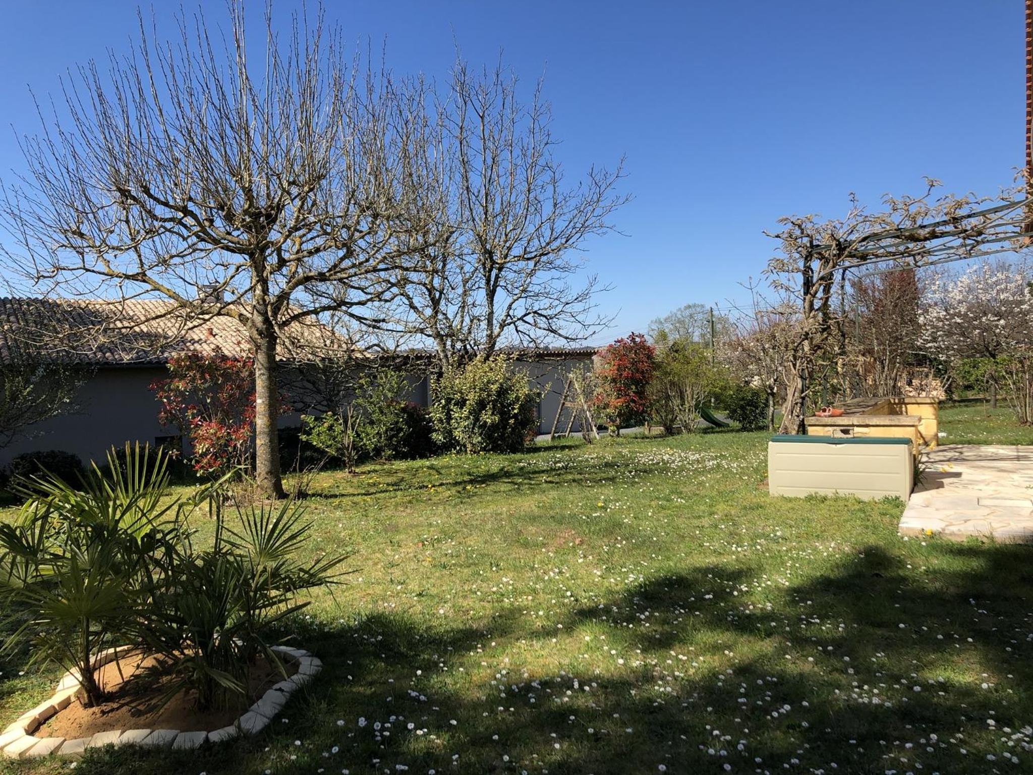 Chambre d'hôtes l'Olivianne view 5