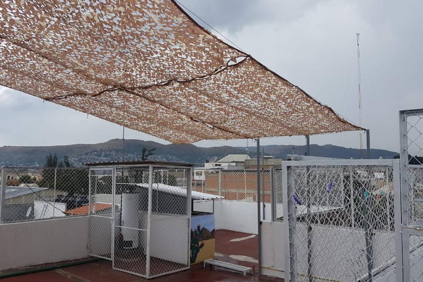 roof