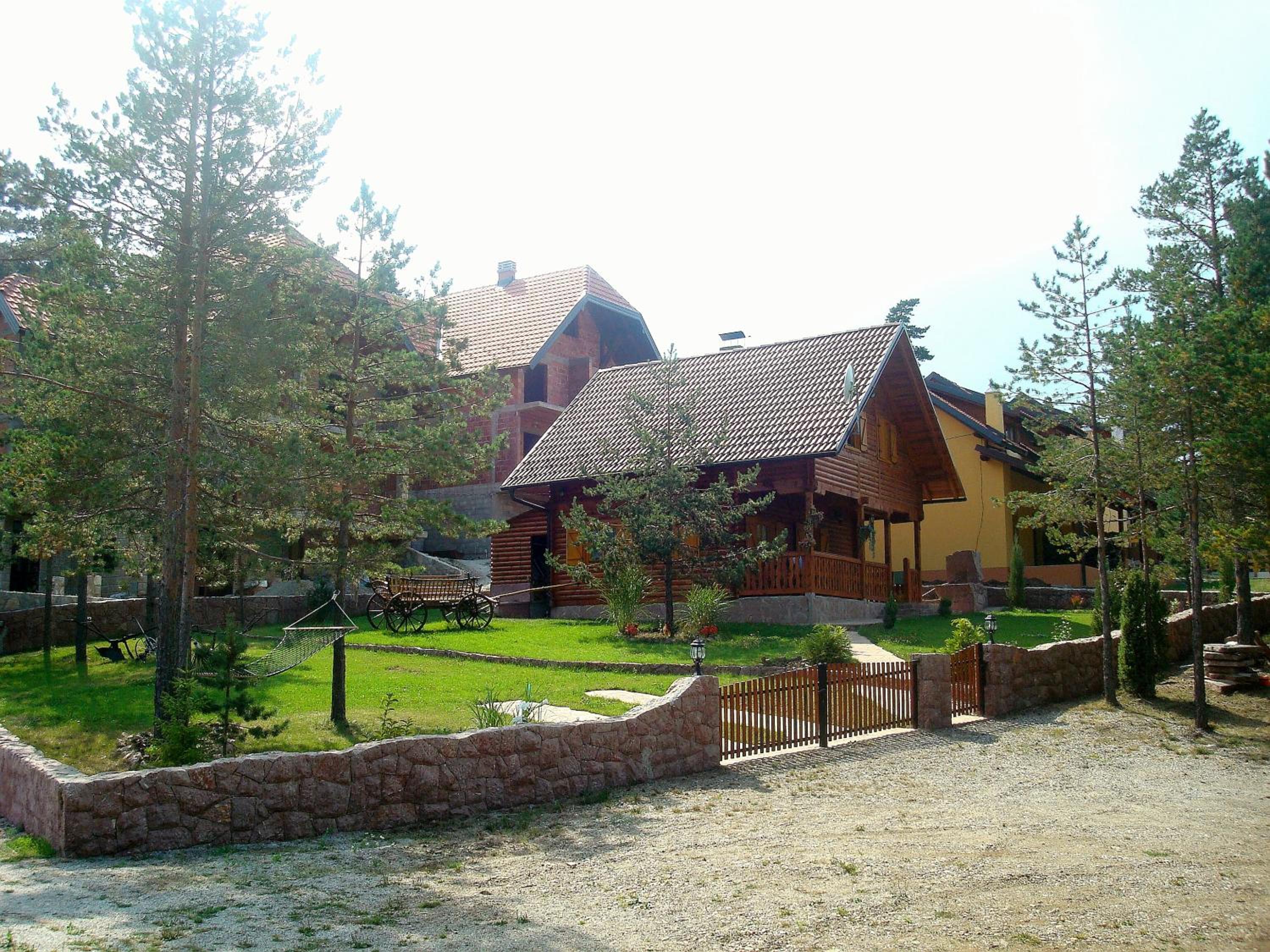 Photo 11