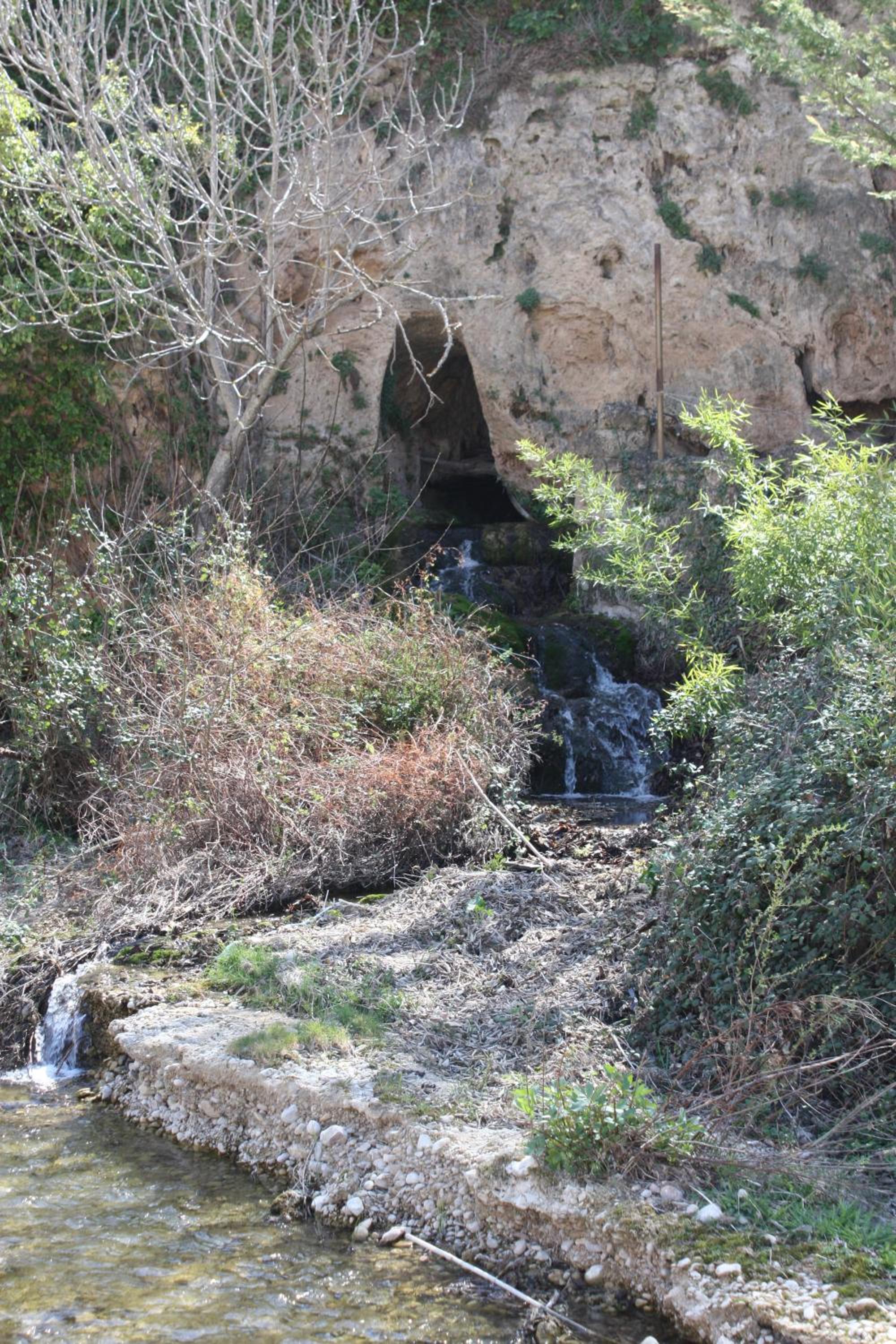 Photo 14