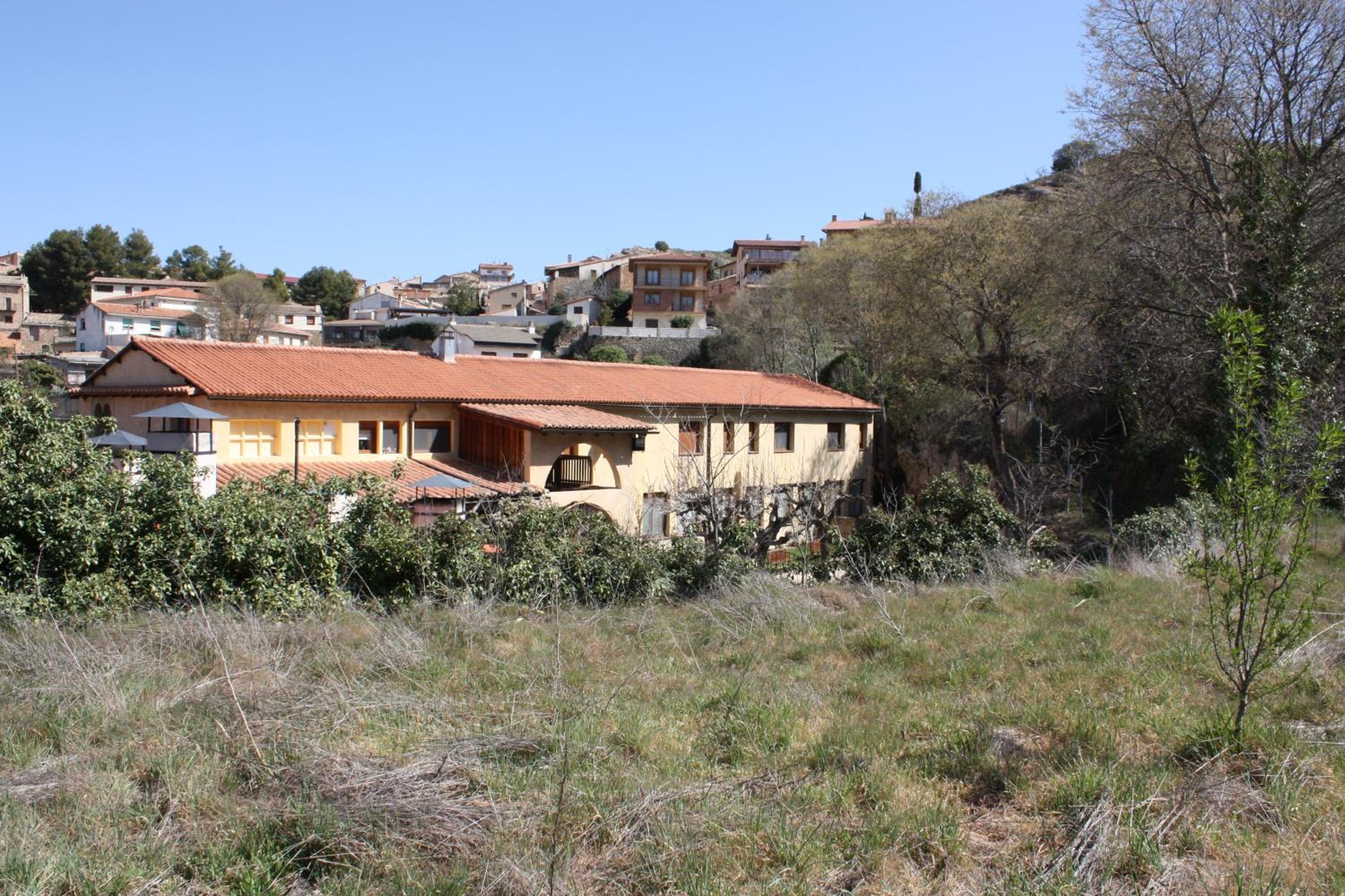 Photo 11