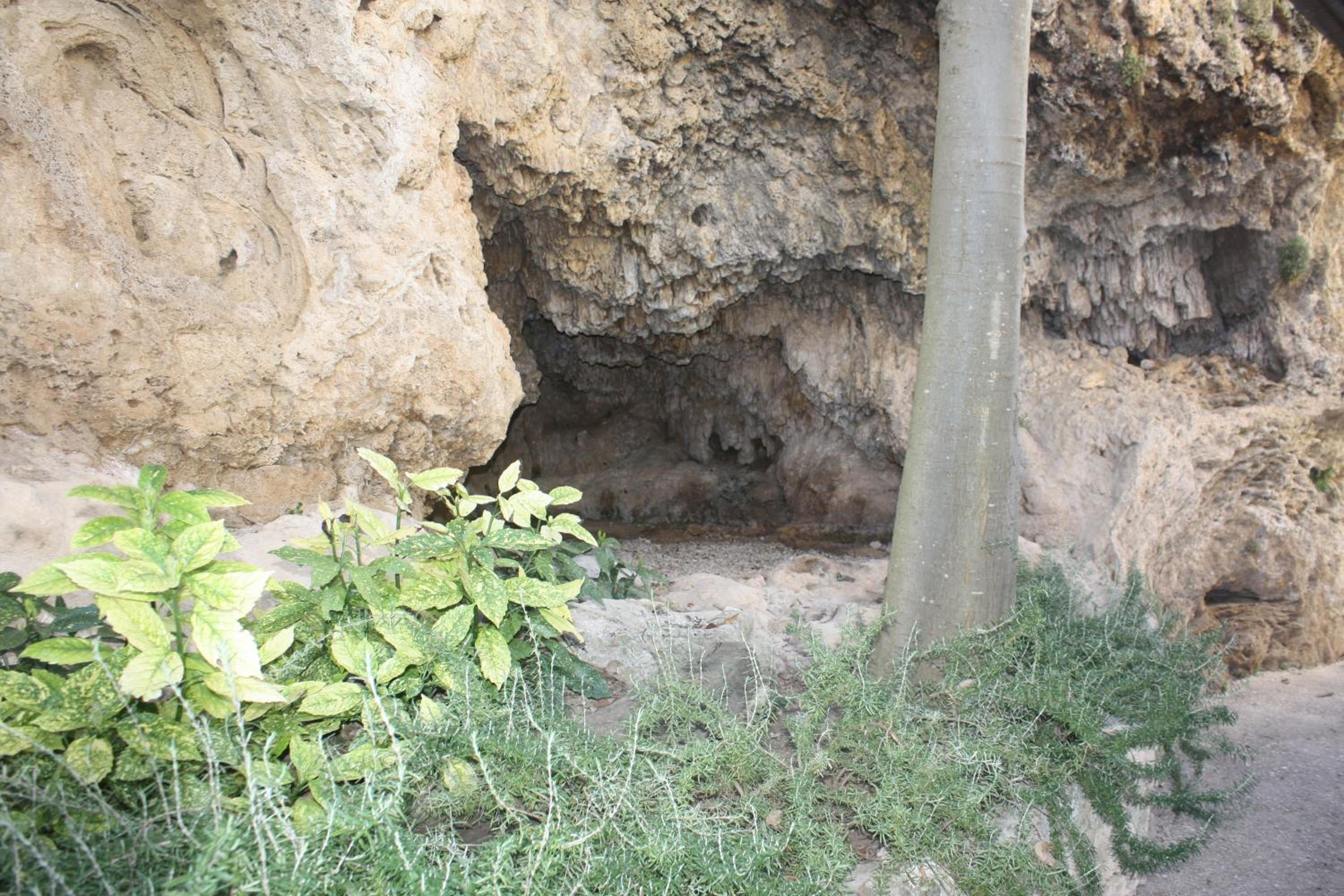 Photo 16