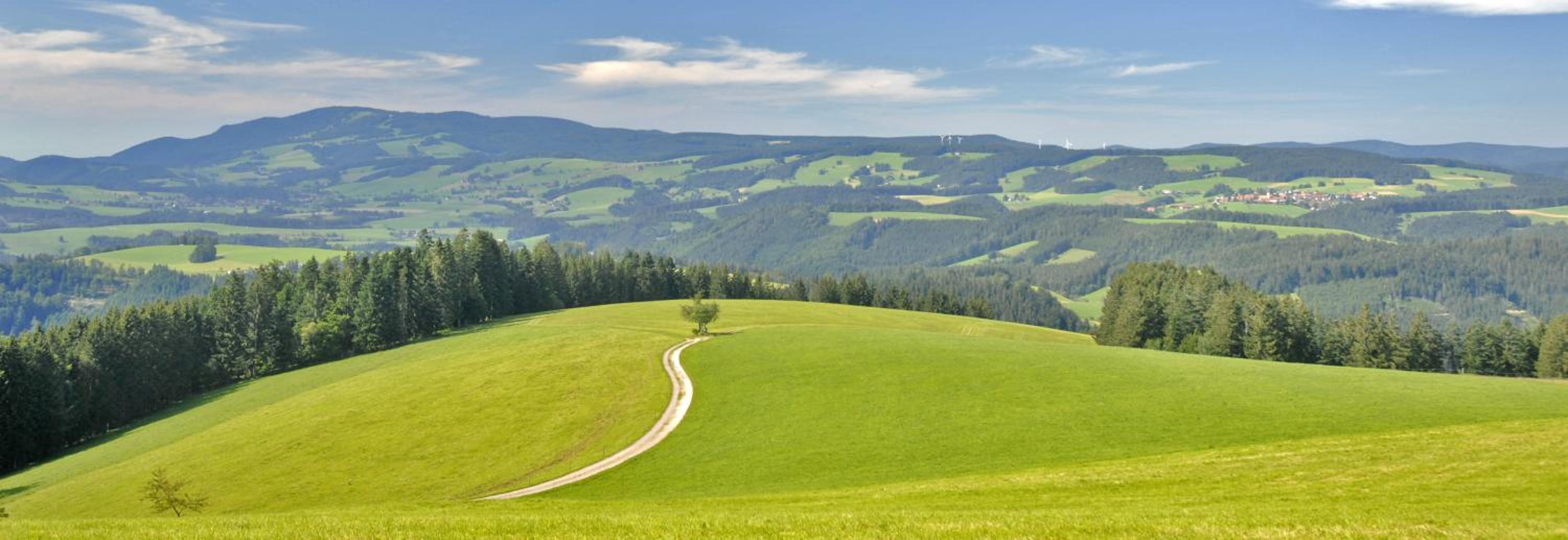 Landhaus Valentin, photo 41