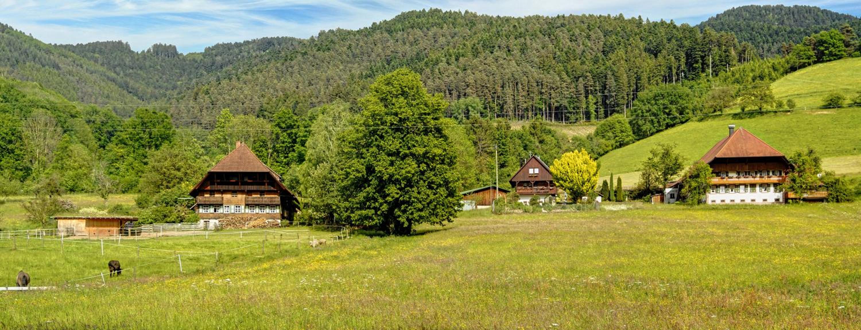 Landhaus Valentin, photo 48