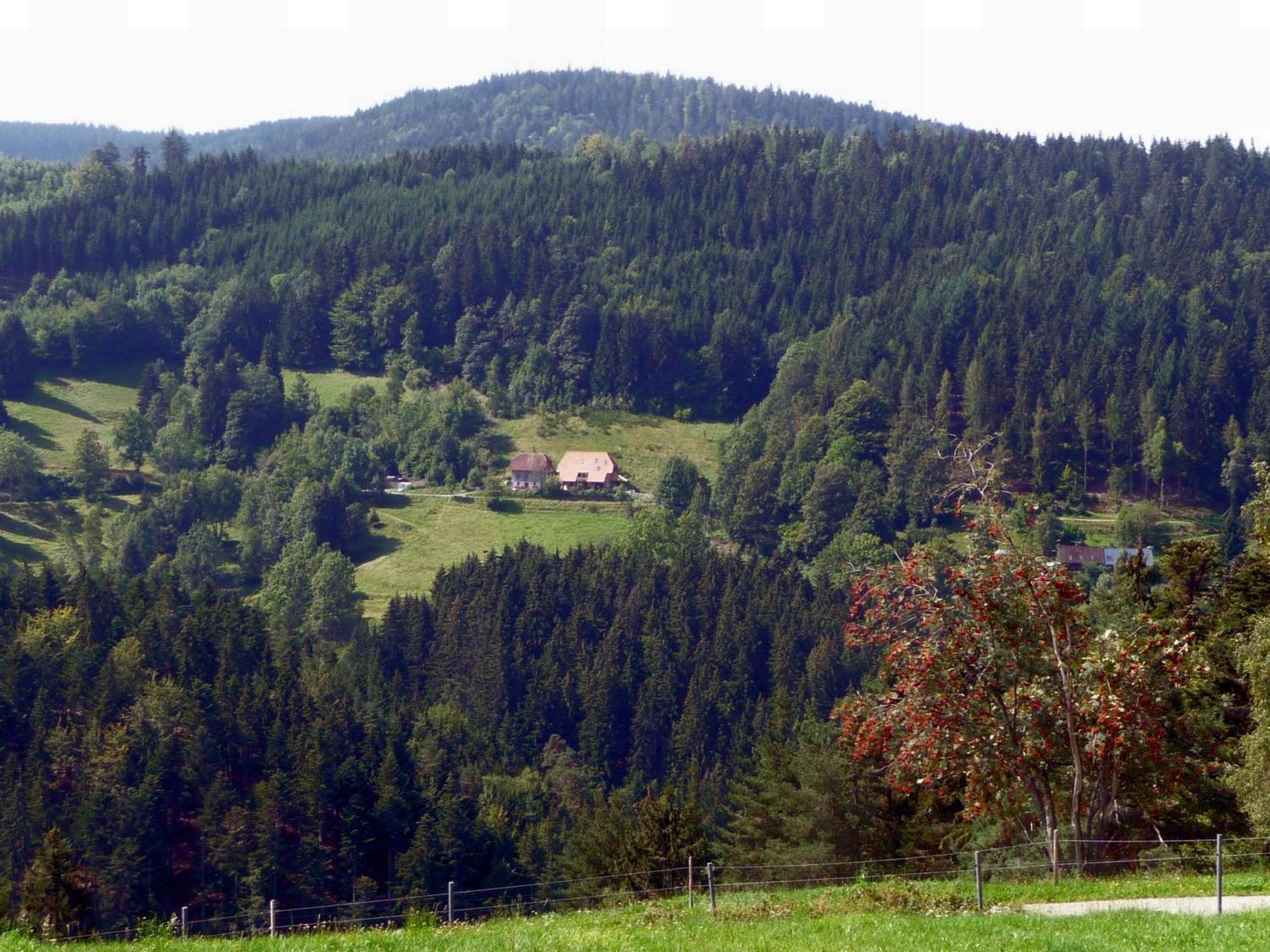 Landhaus Valentin, photo 20