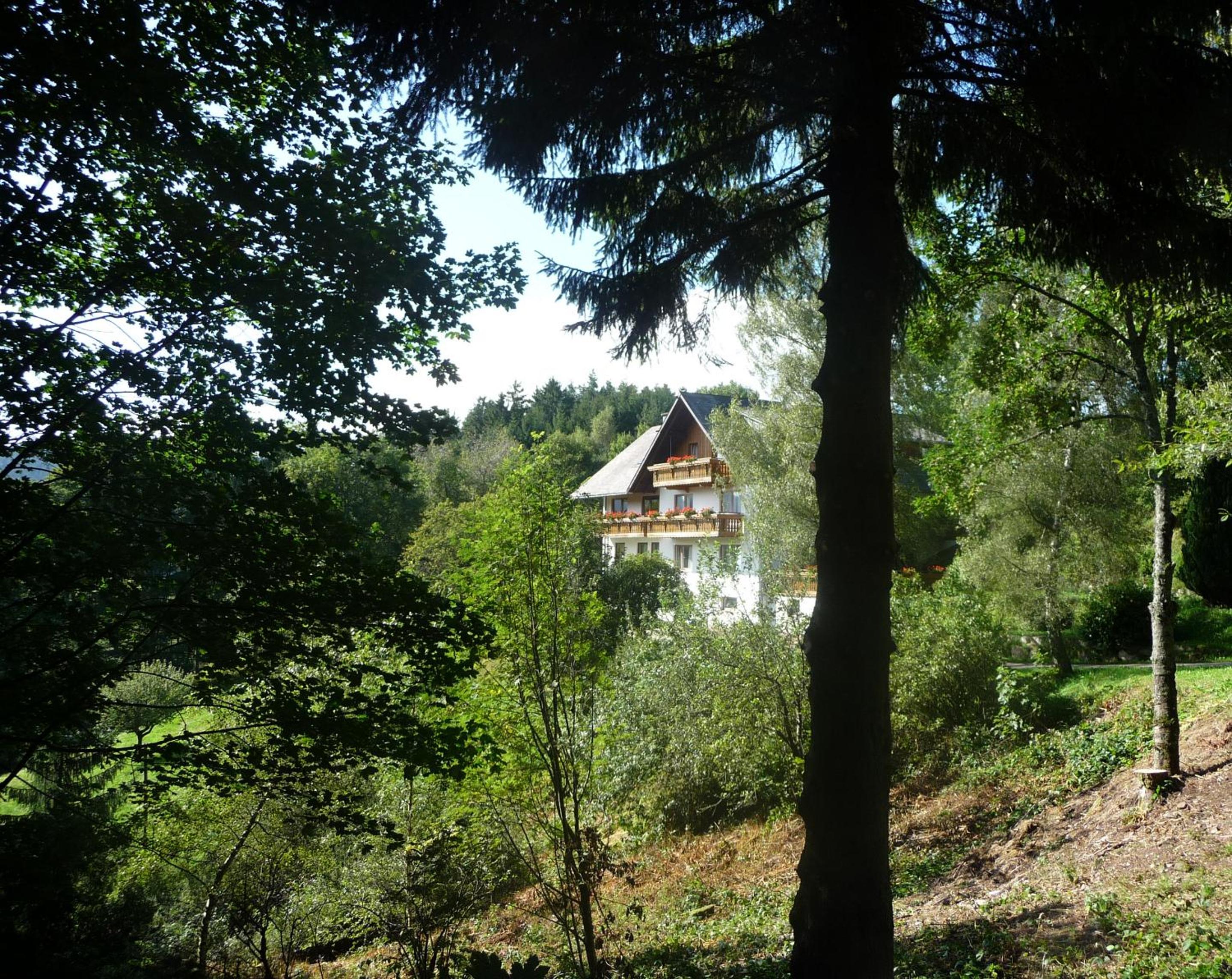 Landhaus Valentin, photo 46