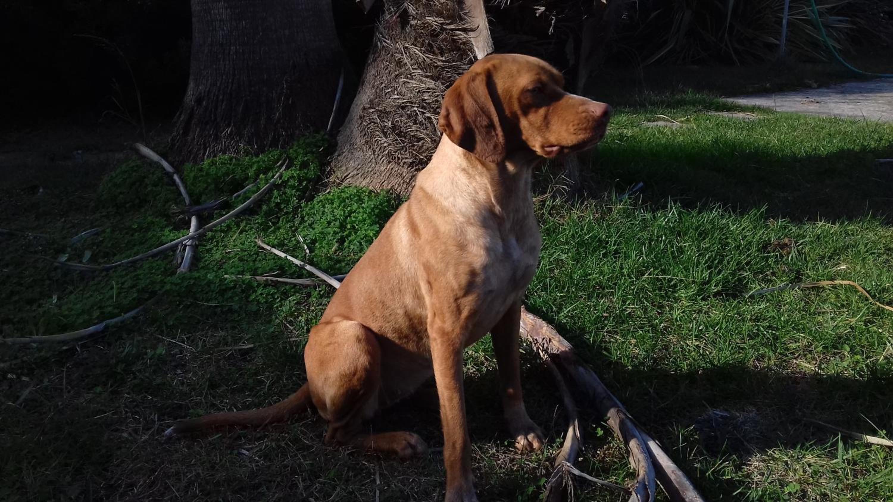 other