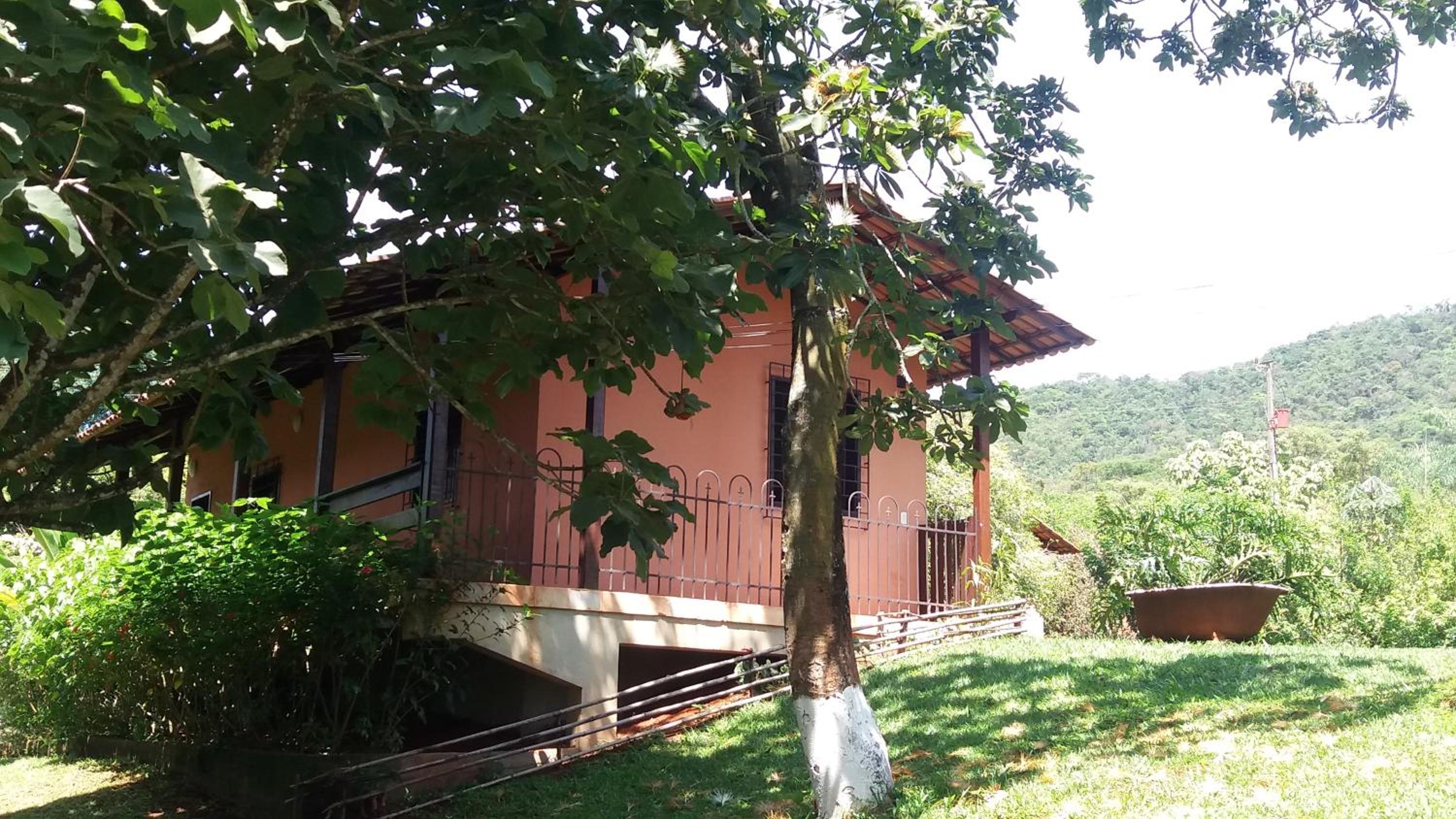 Photo 42