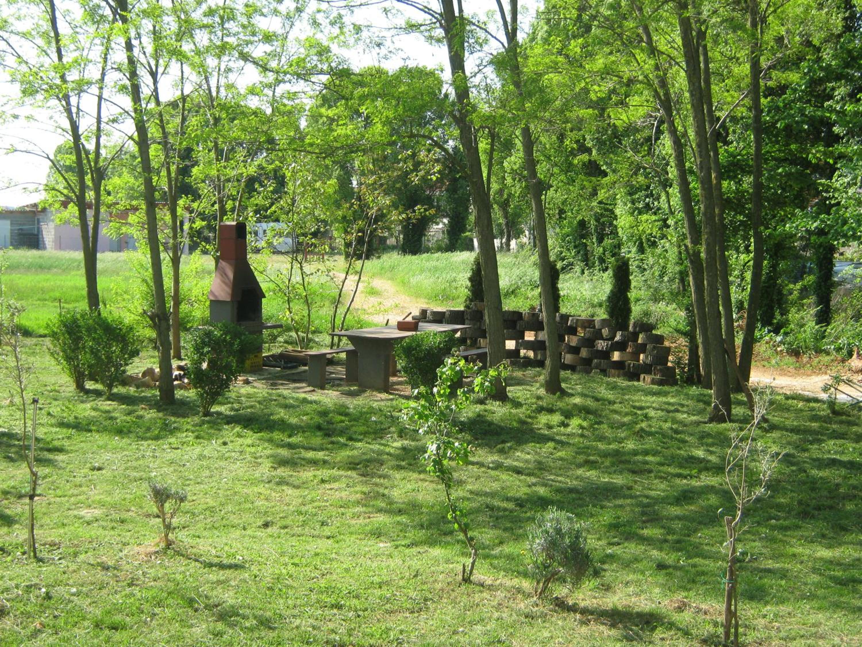 Photo 22