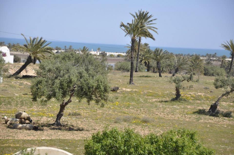 Ranch Tanit Djerba view 2