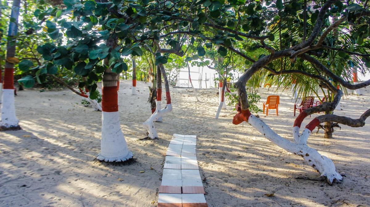 Playa Samara Hostel
