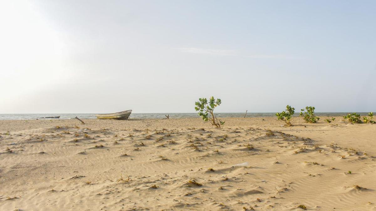 Playa Samara Hostel