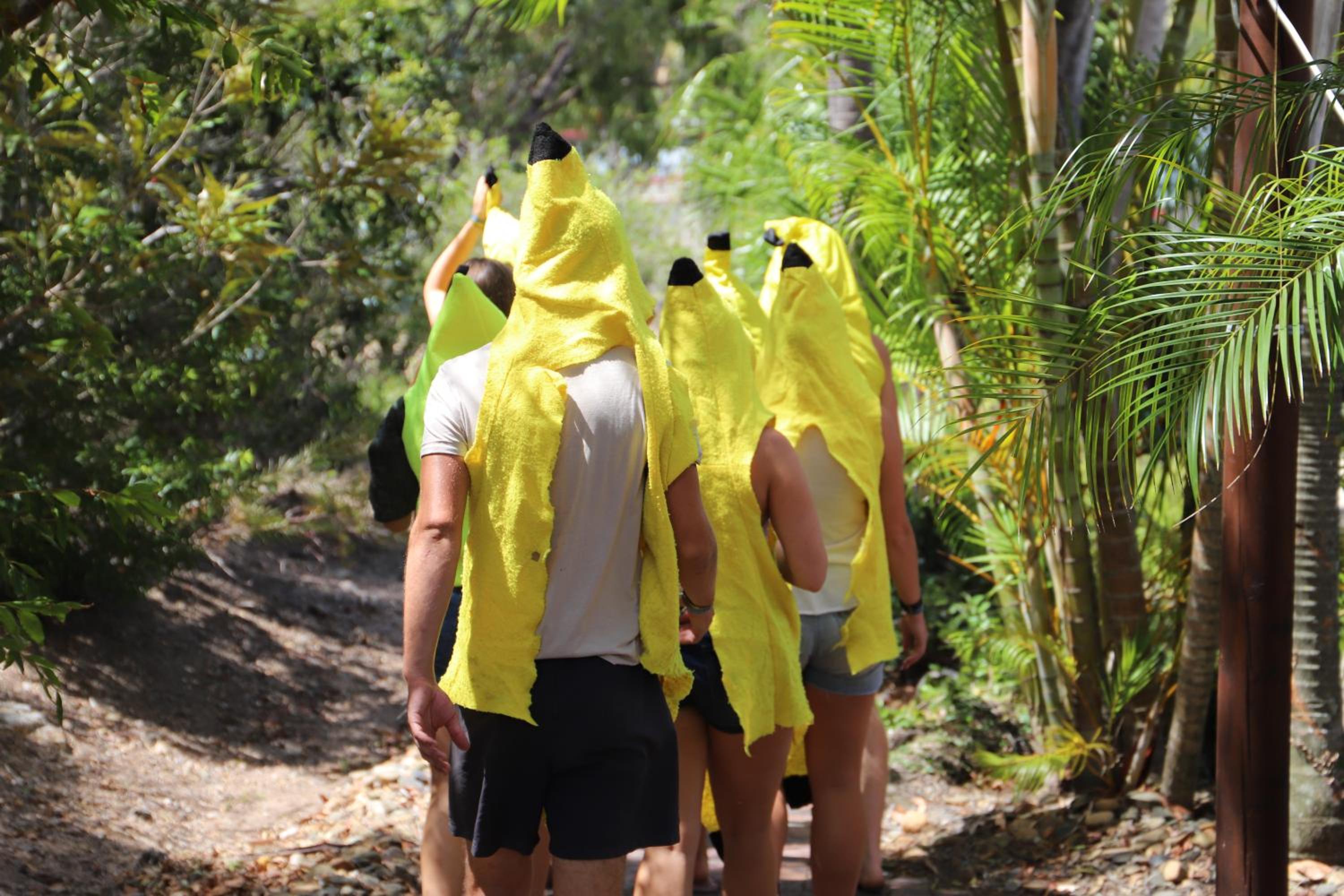 Photo 42