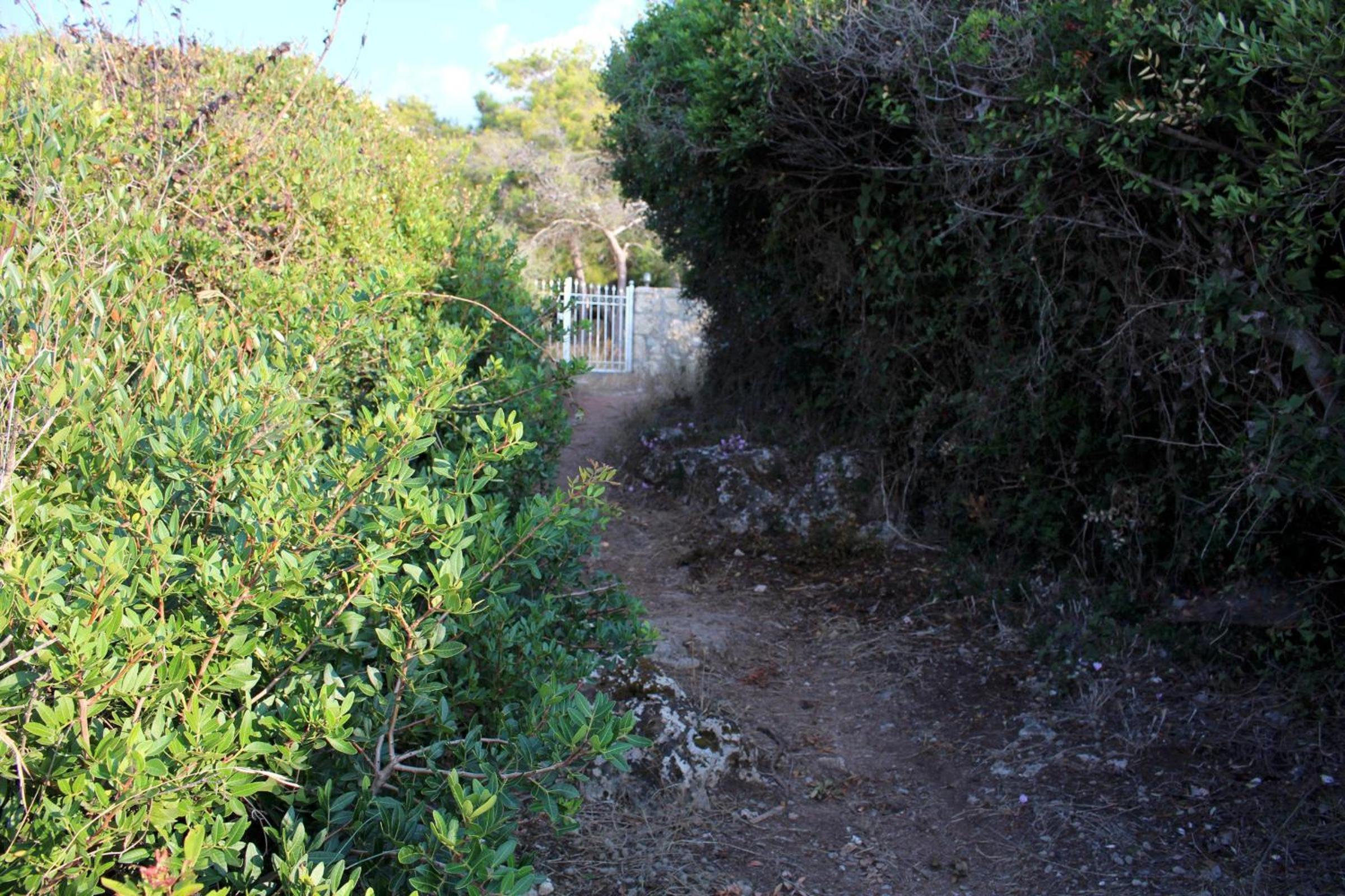 Photo 25