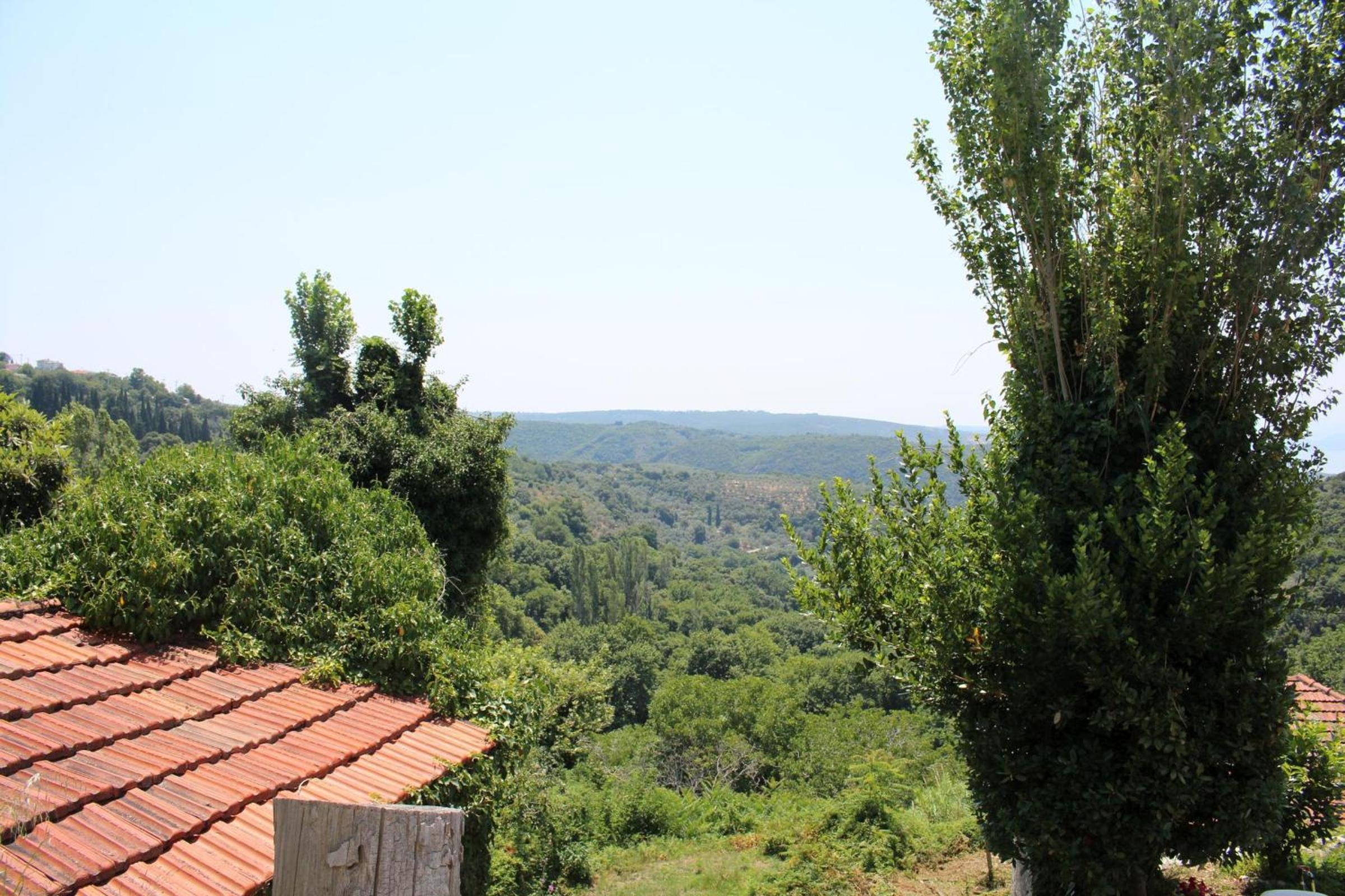 Photo 27