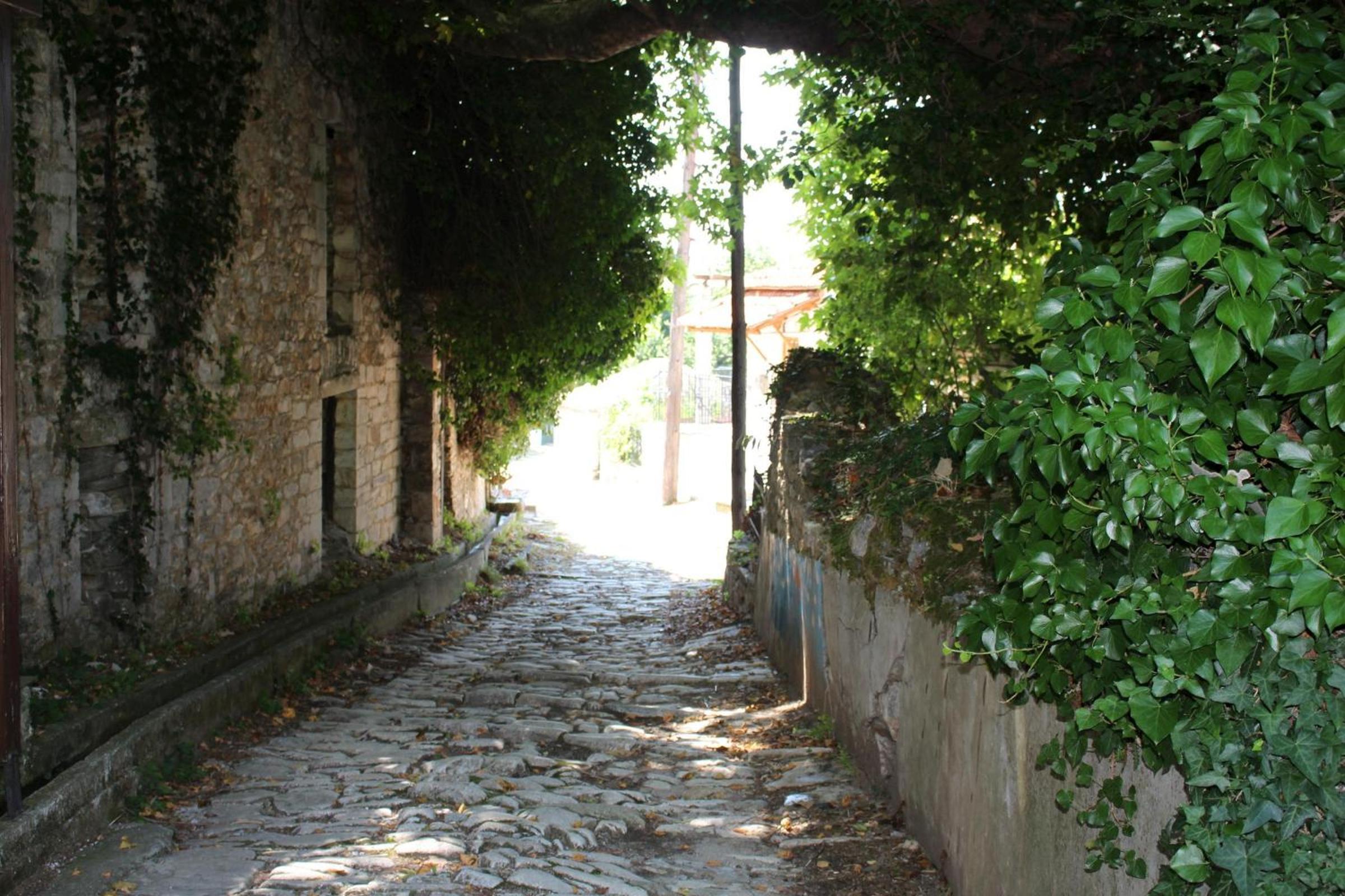 Photo 25
