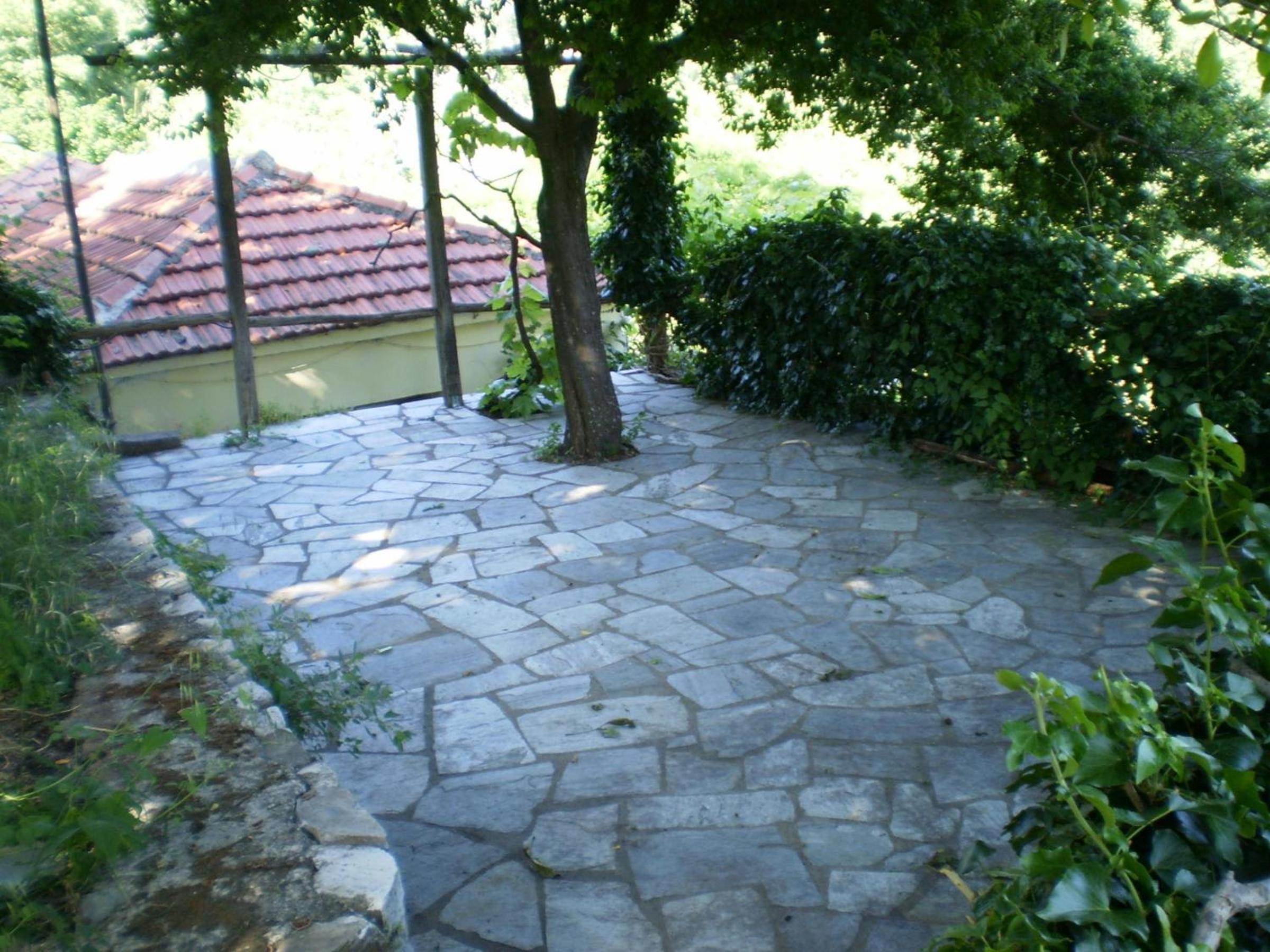 Photo 20