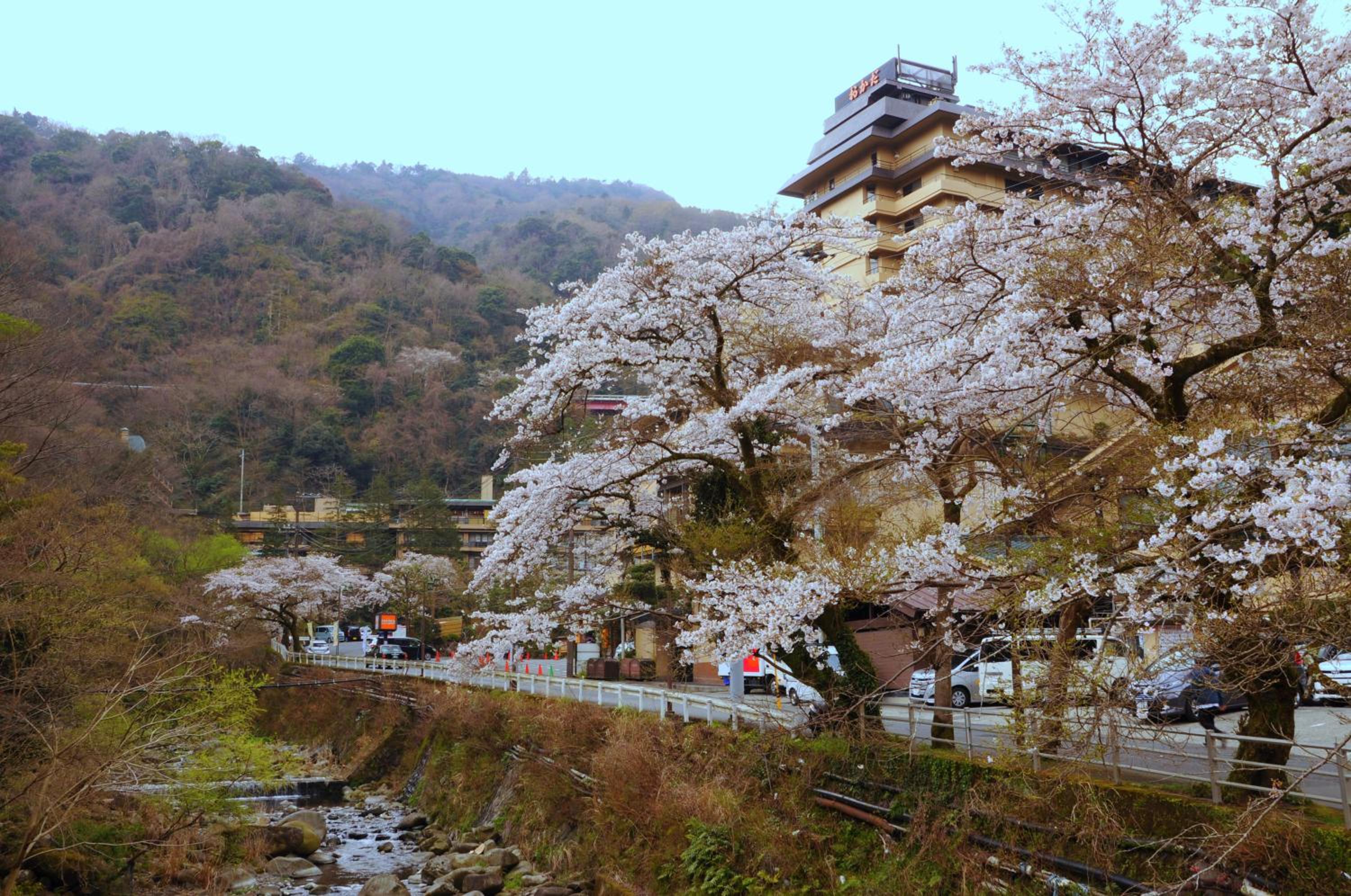 Hotel Okada view 3