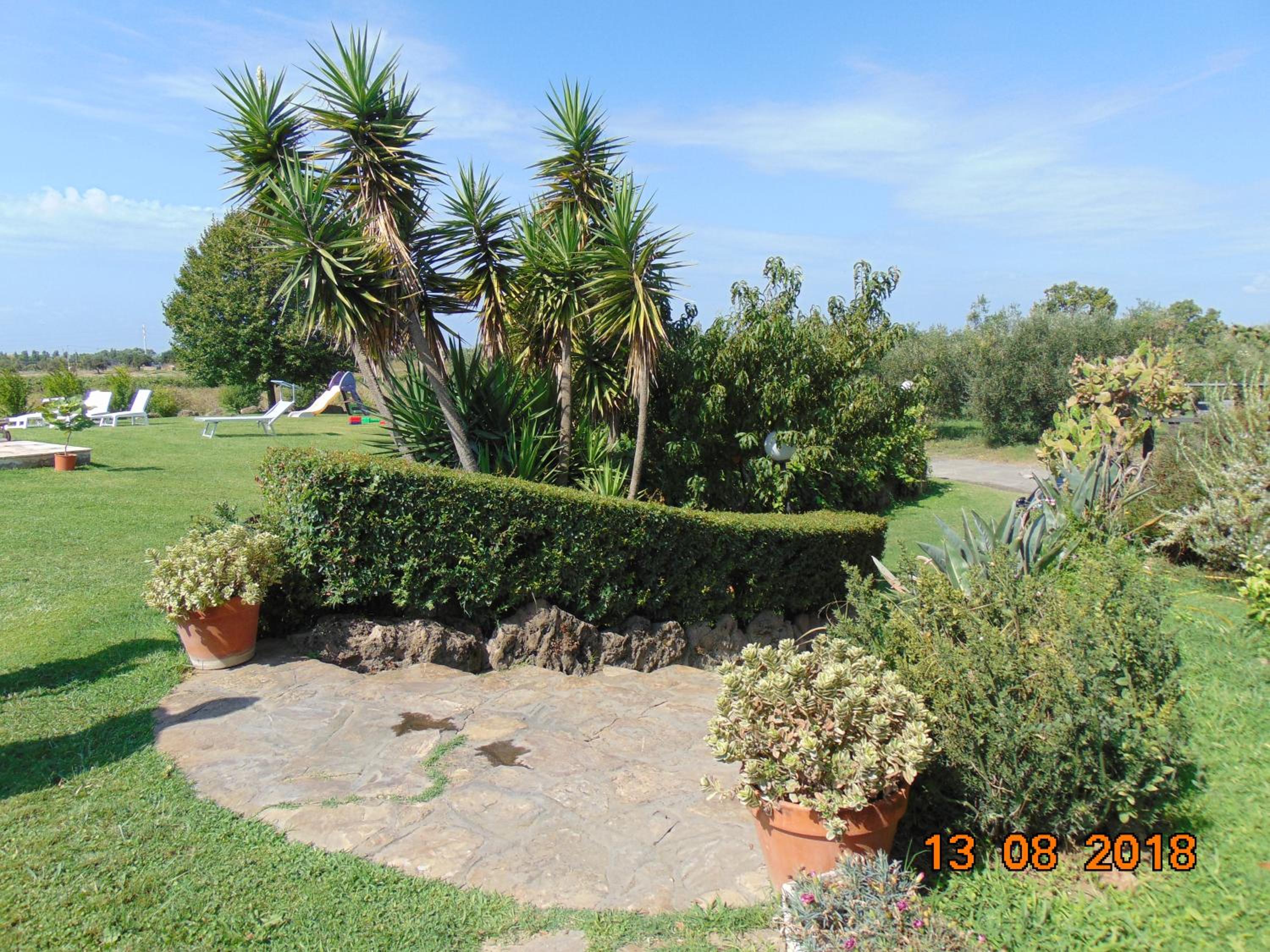 Photo 29
