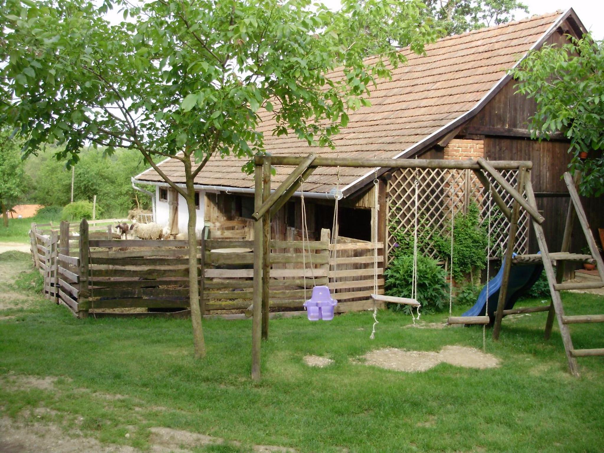Ferencz Porta view 5