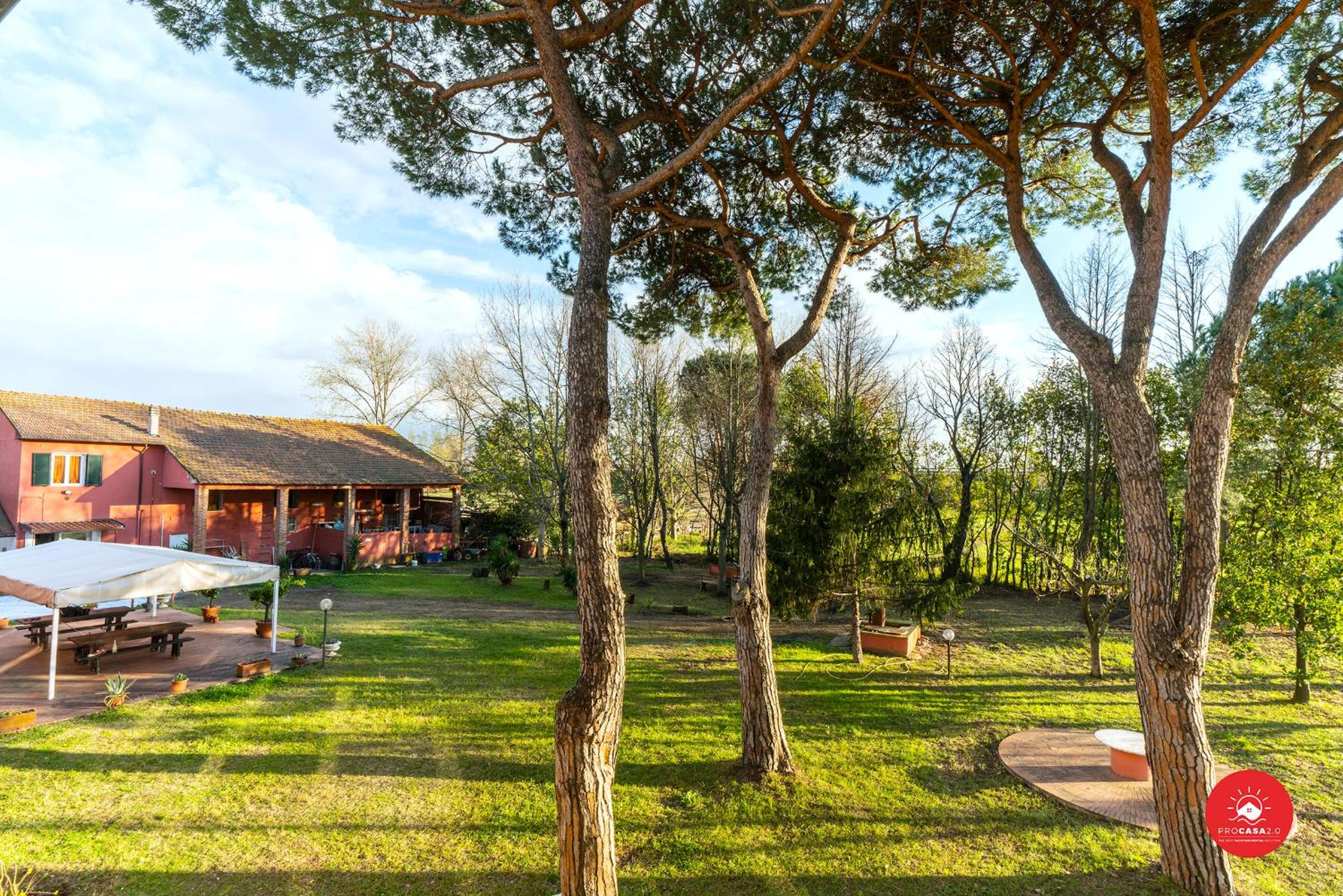 Fattoria Battilana, photo 34