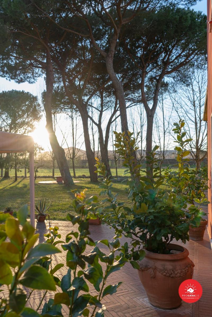 Fattoria Battilana photo 2