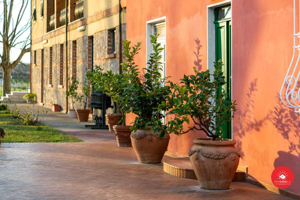 Fattoria Battilana photo 3